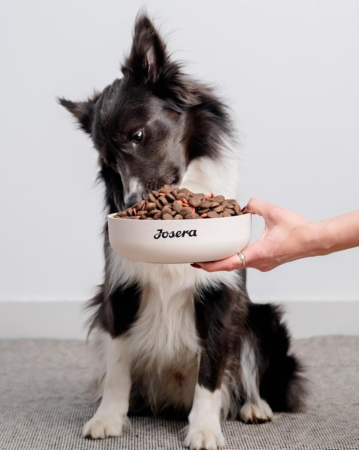 Hundefutter Trockenfutter verschiedene Sorten fuer kleine Rassen