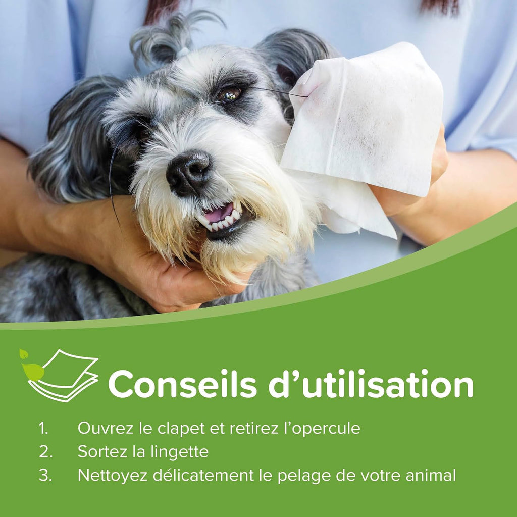 Beaphar Reinigungstuecher fuer Hunde und Katzen 100 Stueck fuer Pfoten Fell Augen und Ohren