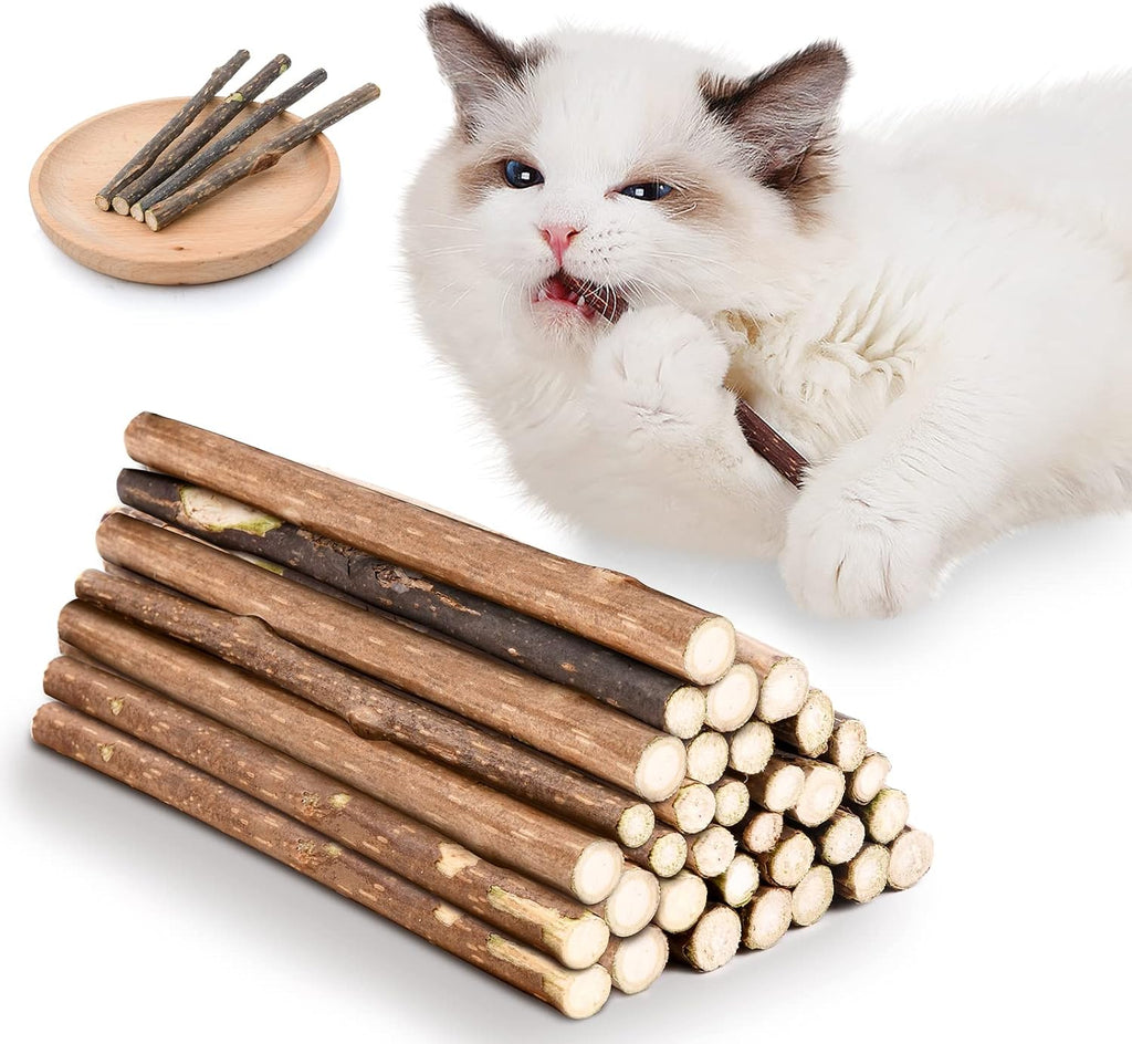 OSDUE Katzenminze Matatabi Kausticks 32 Stueck fuer Zahnpflege, Mundgeruch