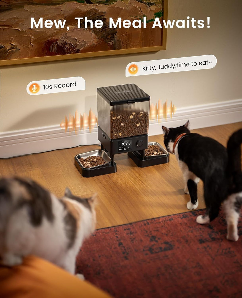 oneisall Katzenfutterautomat mit 2 Edelstahlnaepfen, App & Sprachaufnahme