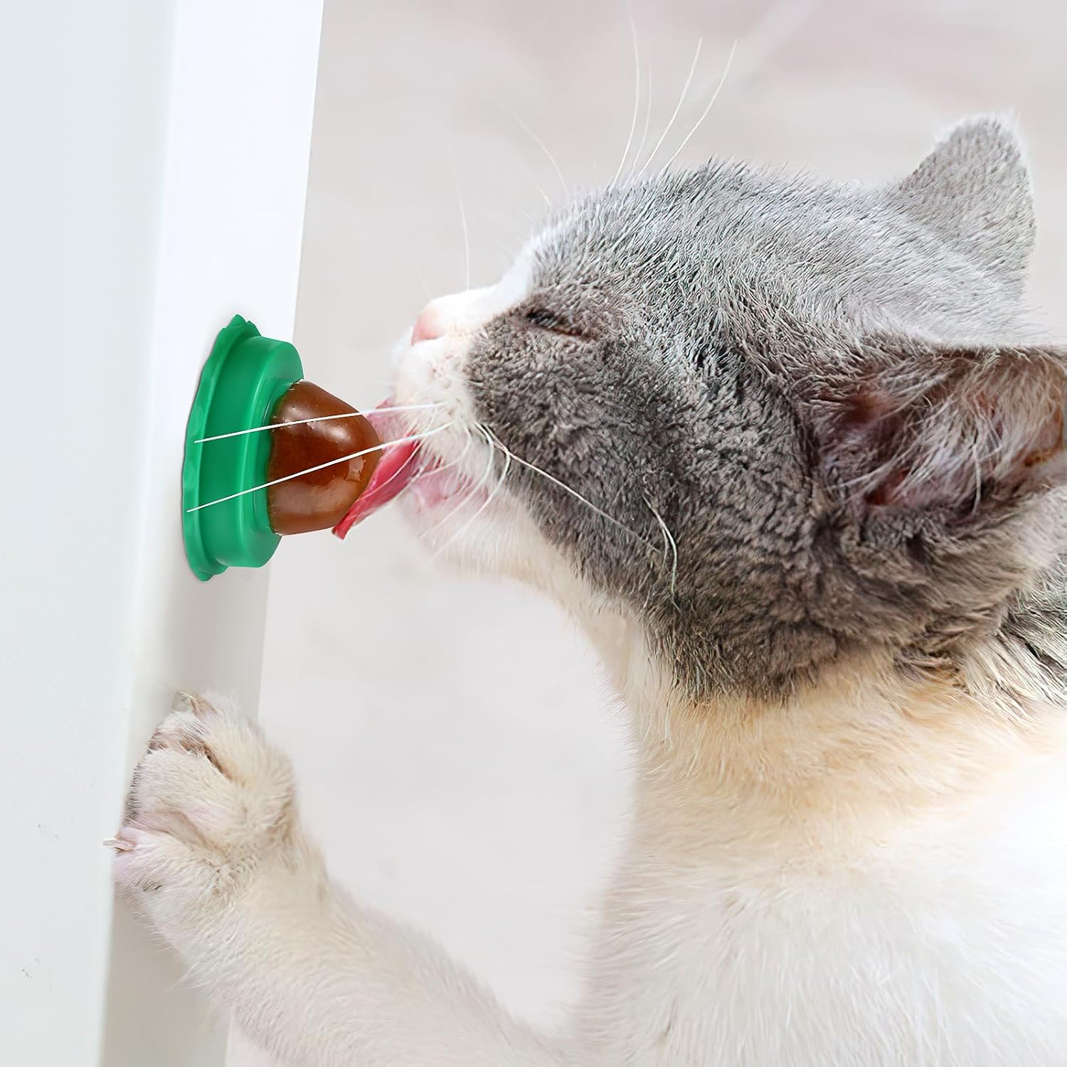 PRETYZOOM Katzenminze Leckstein Ball 10 Stueck Fisch Unterstuetzt Harnfunktion