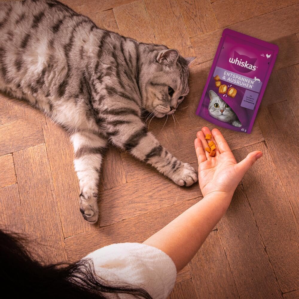 Whiskas Katzensnacks Pounce & Play 8x45g Portionsbeutel verschiedene Sorten