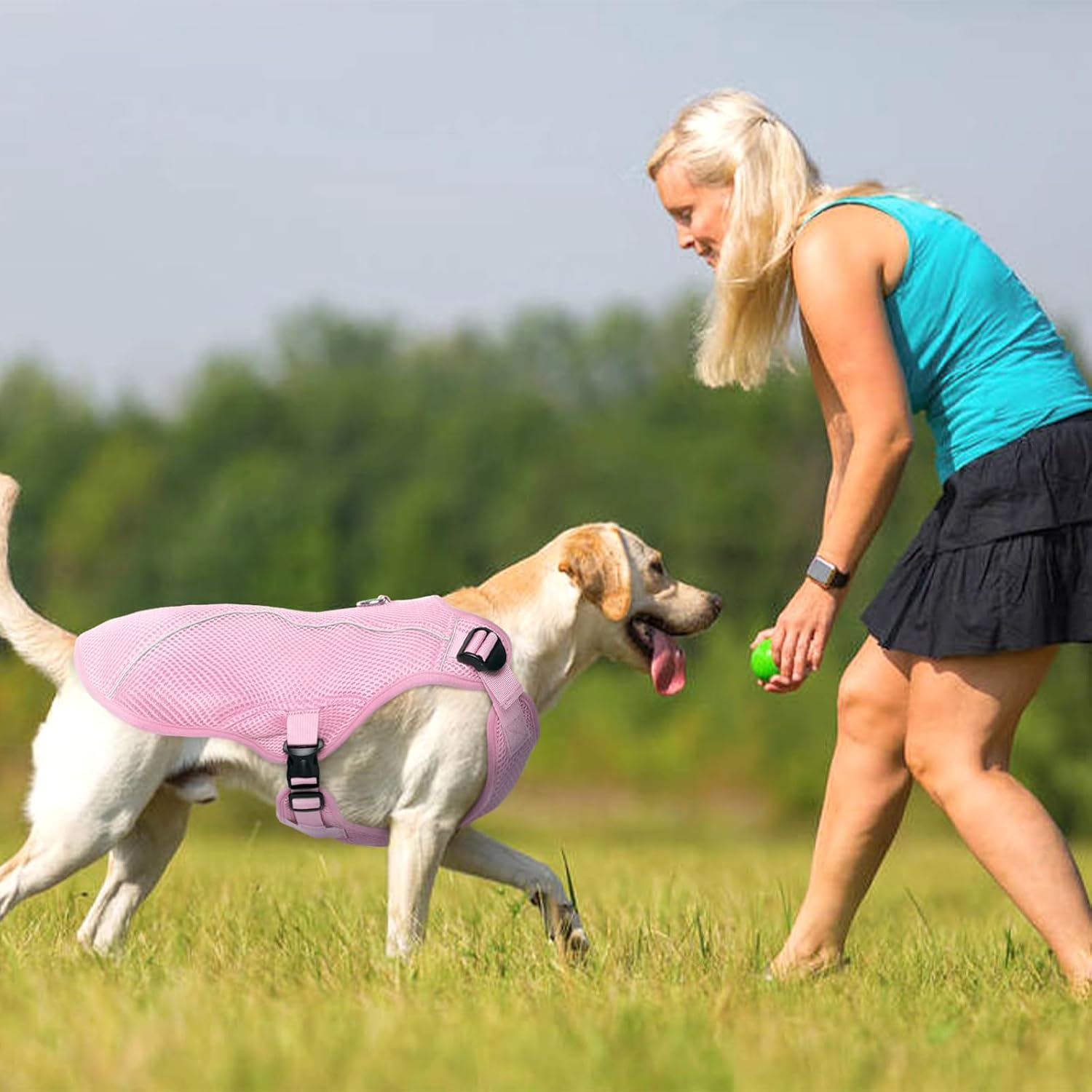 Kuoser Hundekuehlweste blau Groesse S-XXL atmungsaktiv Sonnenschutz Hitzeschutz