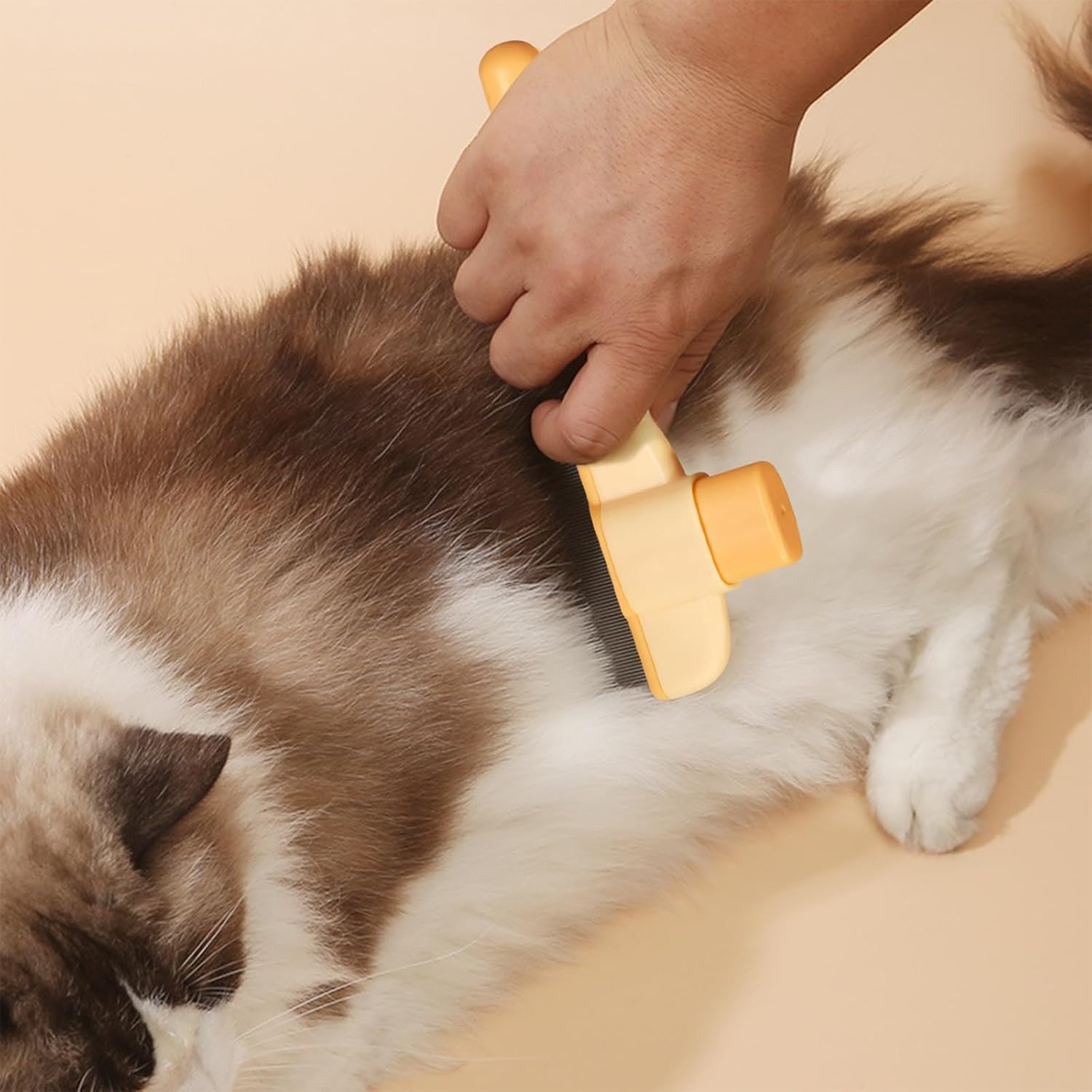 Katzenbesitzer Katzenbürste Fellpflege entfernt lose Haare 2er Set
