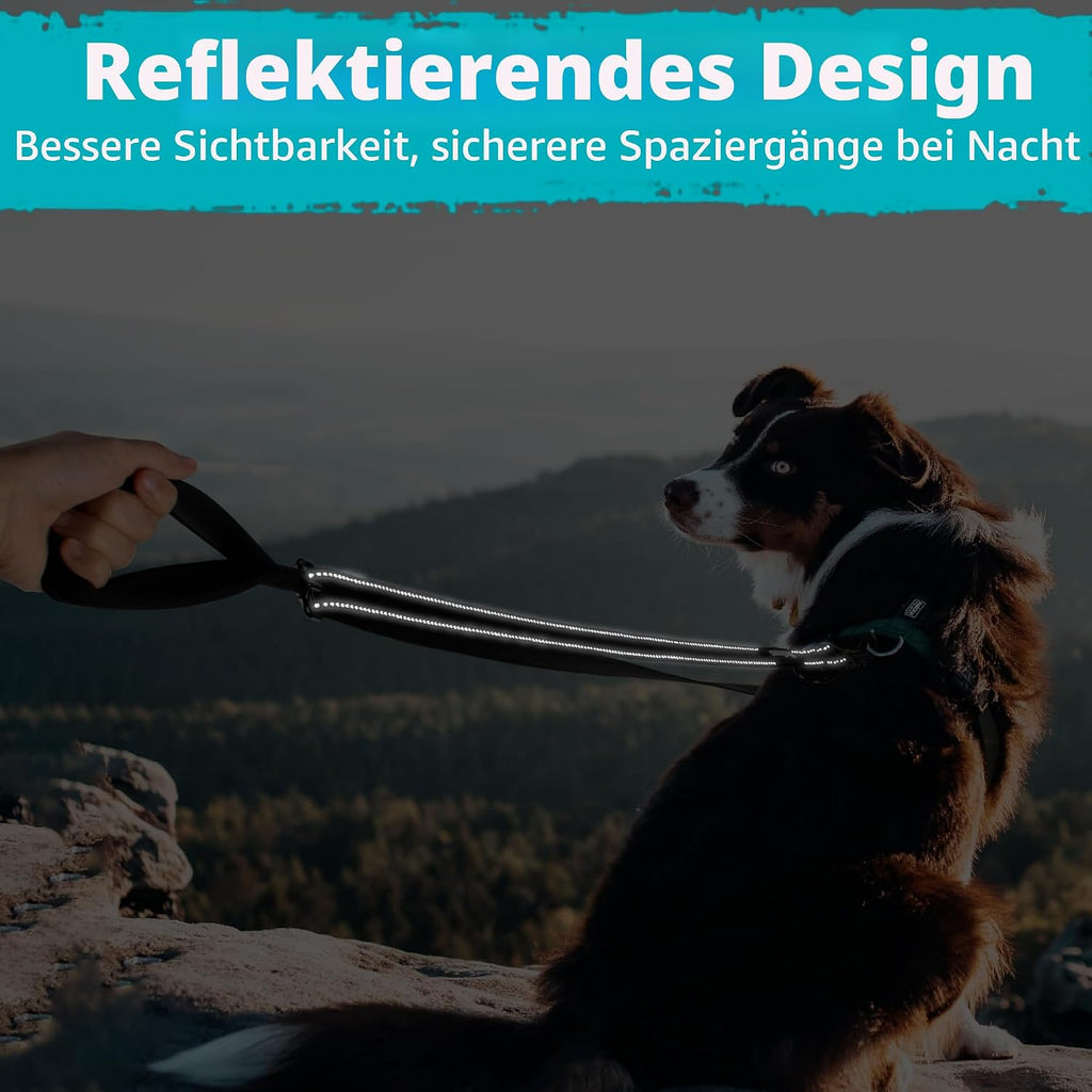 PetBonus Hundeleine Anti-Zieh doppelt reflektierend Schwarz Groesse Gross/Mittel