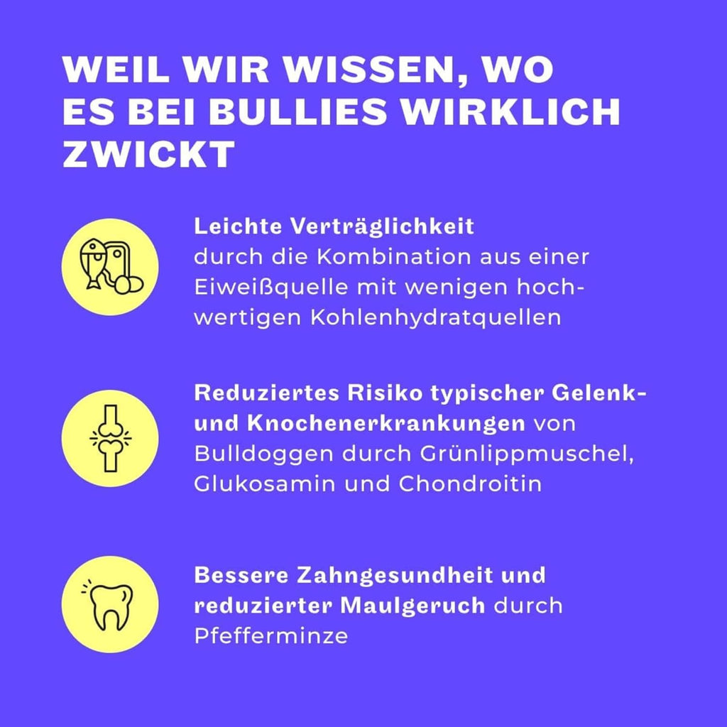 HEY HOLY Nassfutter Bulldogge 6x750g Lachs hochvertraeglich natuerliche Zutaten