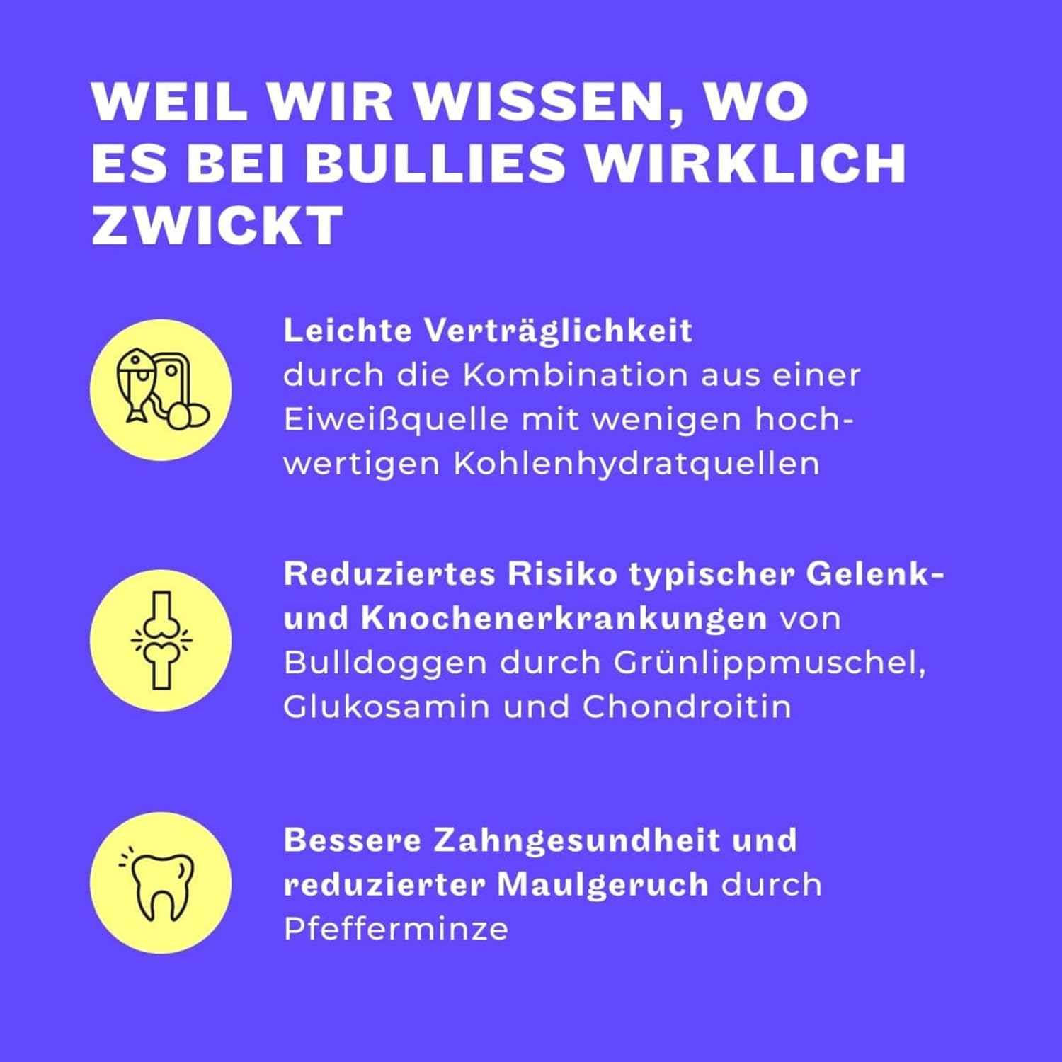 HEY HOLY Nassfutter Bulldogge 6x750g Lachs hochvertraeglich natuerliche Zutaten