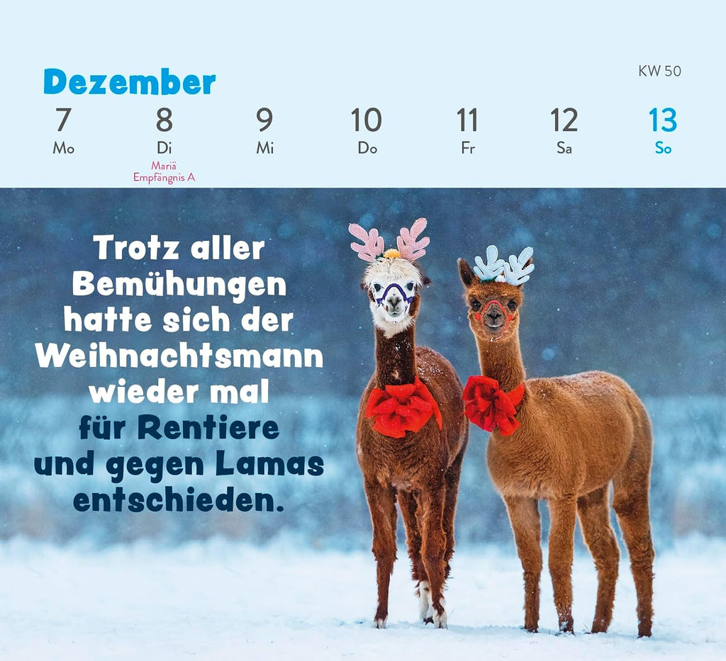 Mini Wochenkalender 2026 Tischkalender Tierisch Gechillt mit Tierfotos