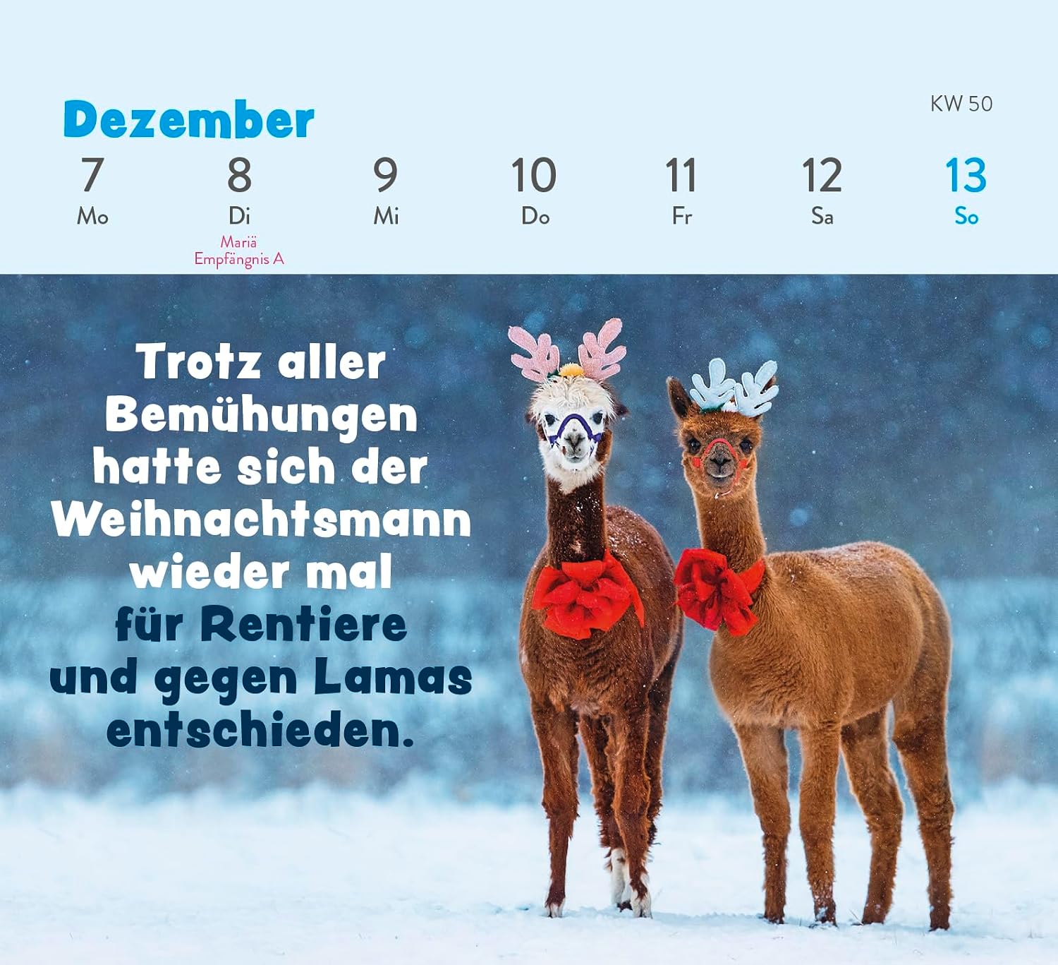 Mini Wochenkalender 2026 Tischkalender Tierisch Gechillt mit Tierfotos