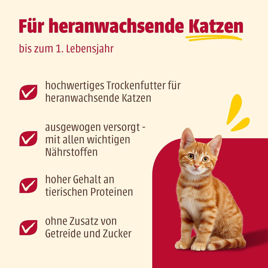 Animonda Carny Katzenfutter Huhn Rind getreidefrei verschiedene Sorten