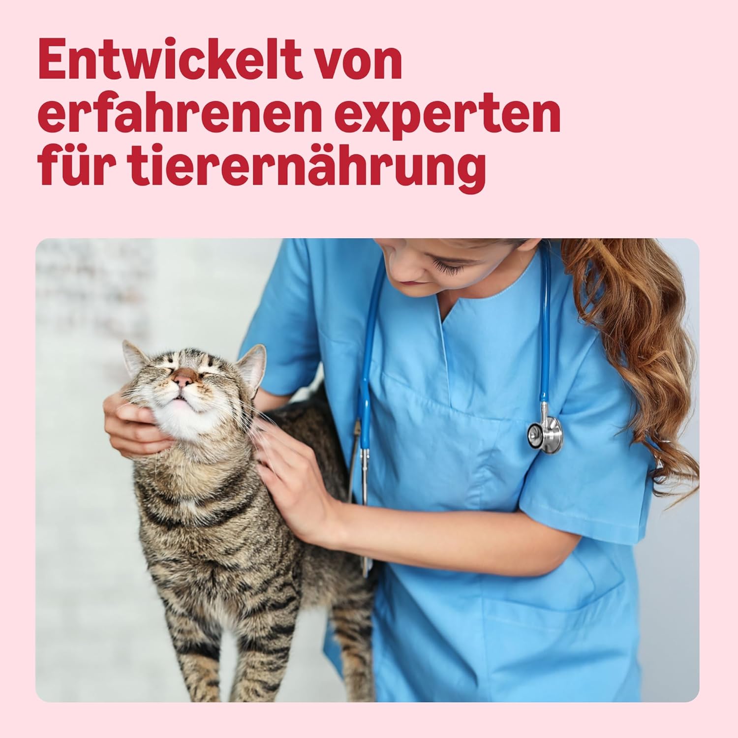 Katzenleckerlis Lachs 70 g Snack Belohnung für Katzen