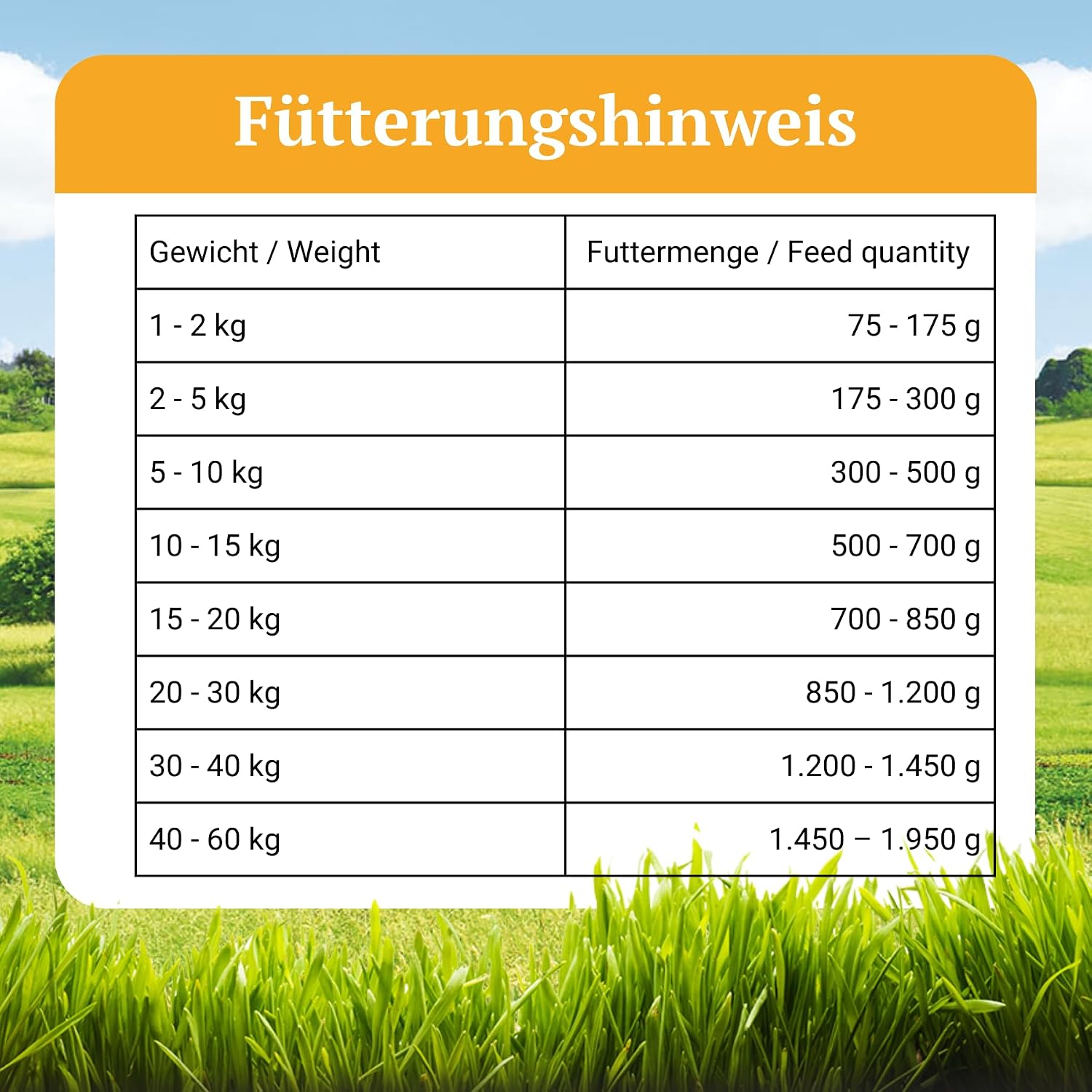 Bellfor Landgut-Menue Nassfutter Insekten 6x800g getreidefrei hypoallergen -8