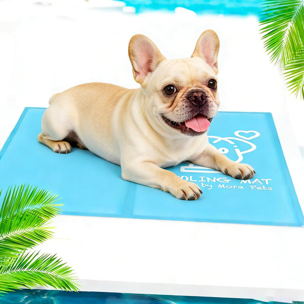 Pawtasy selbstkuehlende Hundematte S 50 x 40 cm Grau mit Gelfuellung
