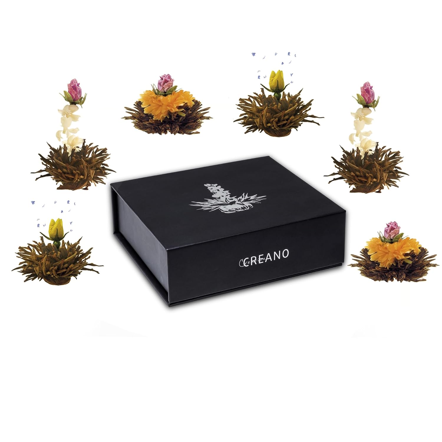 Creano Teeblumen Geschenkbox 6 Sorten Magnetbox Weiss Gruen Schwarz, verschiedene