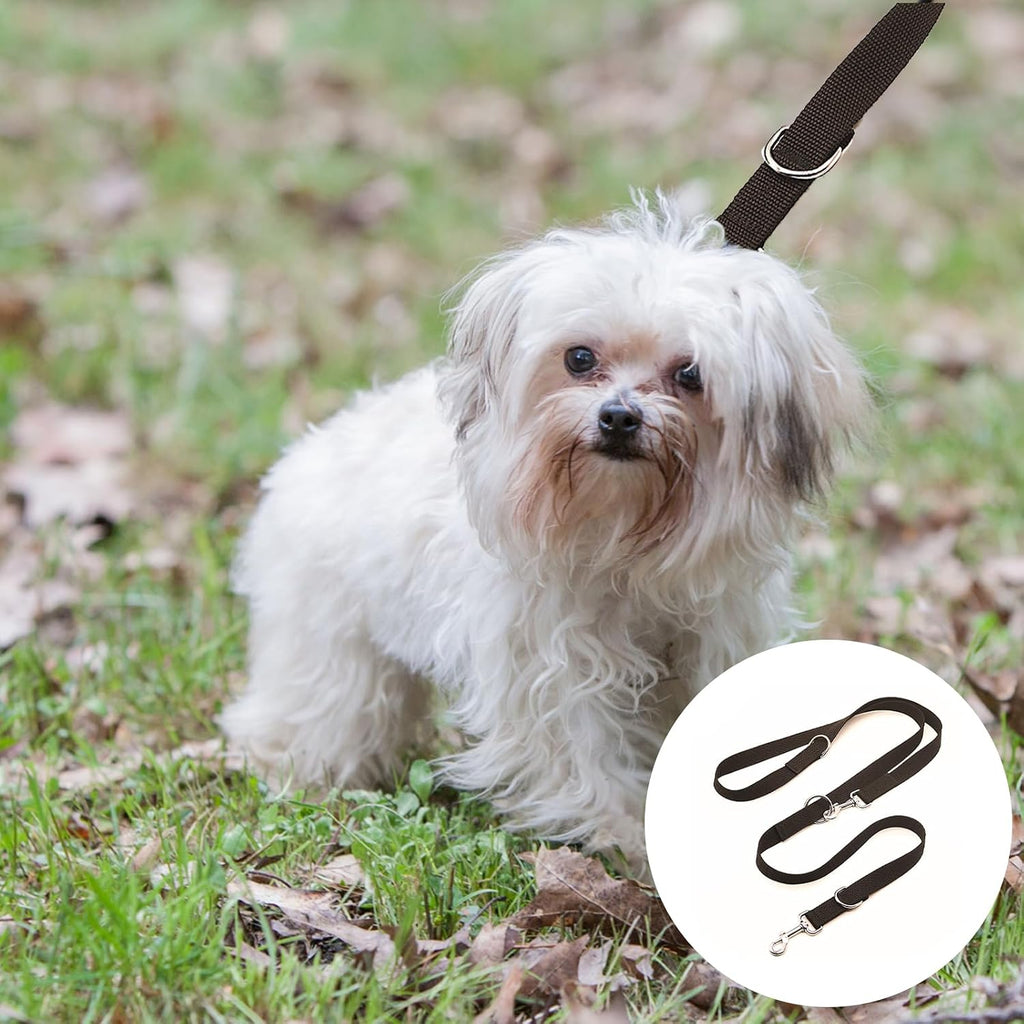 Hundeleine 2,5 cm x 260 cm verstellbar schwarz mit 2 Karabinern für große Hunde