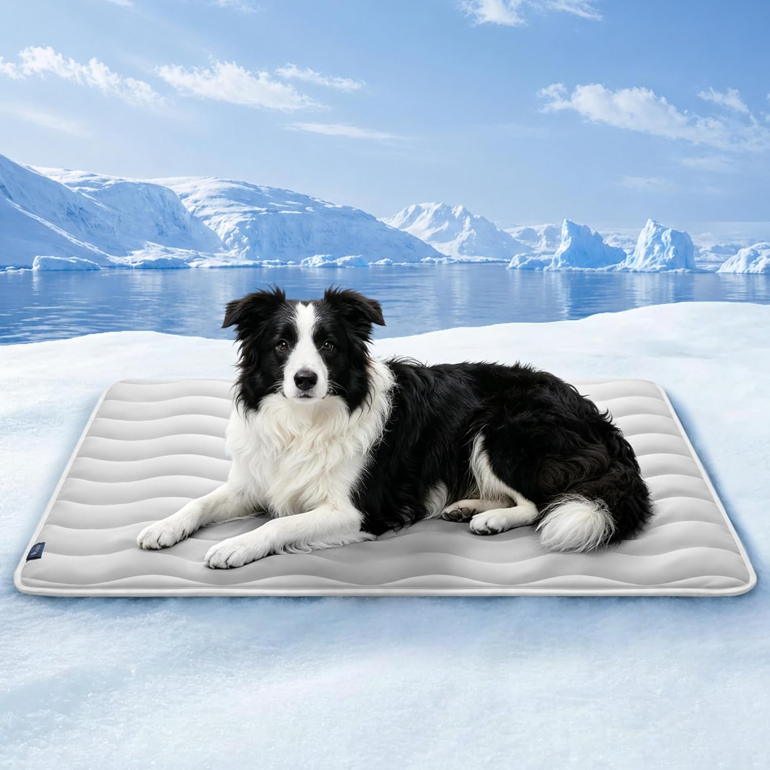 Angelpet Kuehlmatte 120x90 cm fuer Hunde Katzen, gel-frei, rutschfest, blau