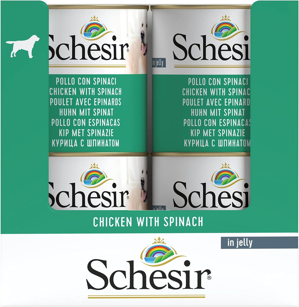 Schesir Dog Huhn mit Kartoffel Nassfutter 16 x, verschiedene Sorten