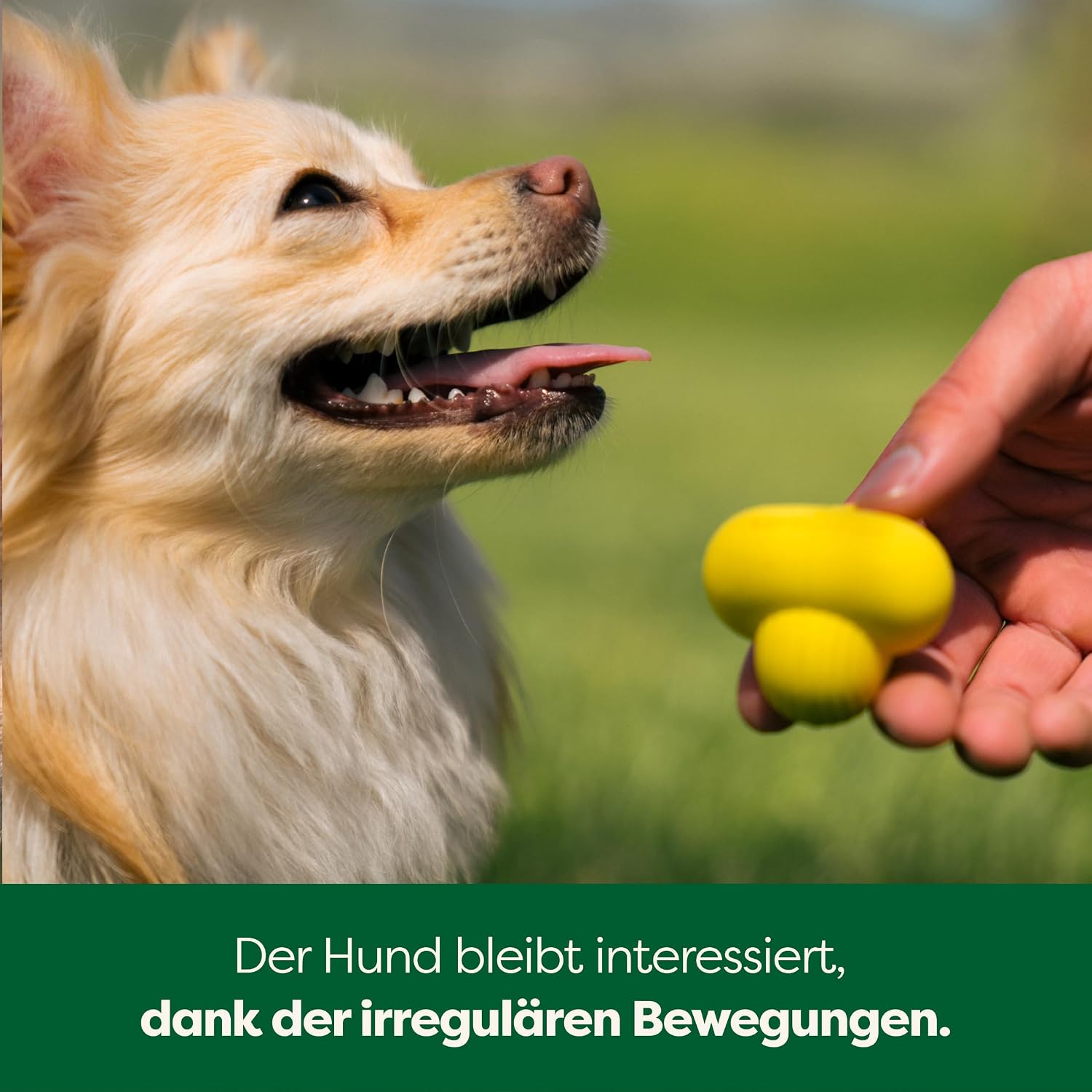 Earth Rated Hundeball S-L - Naturgummi Apportierball klein gelb verschiedene Groe