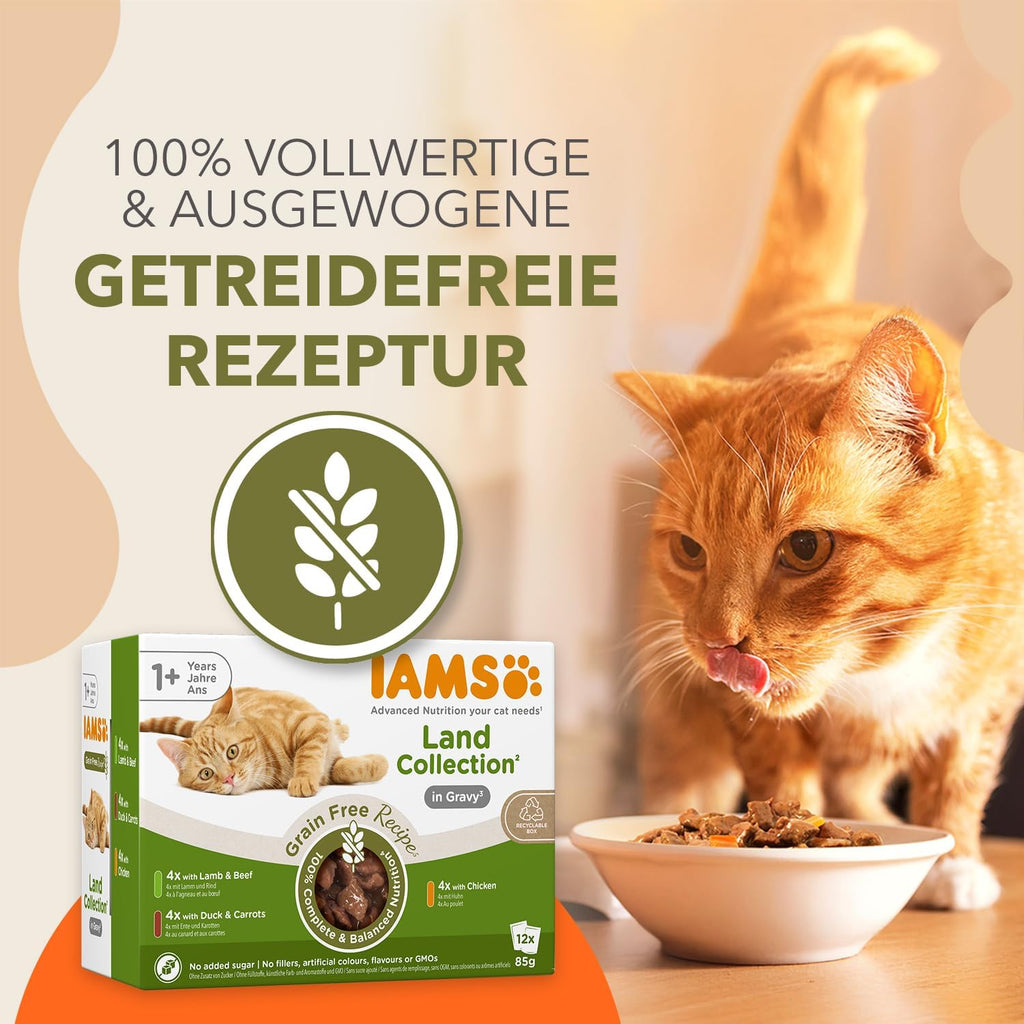 IAMS Delights Land Collection Katzenfutter Nass 12 x 85g getreidefrei ab 1 Jahr