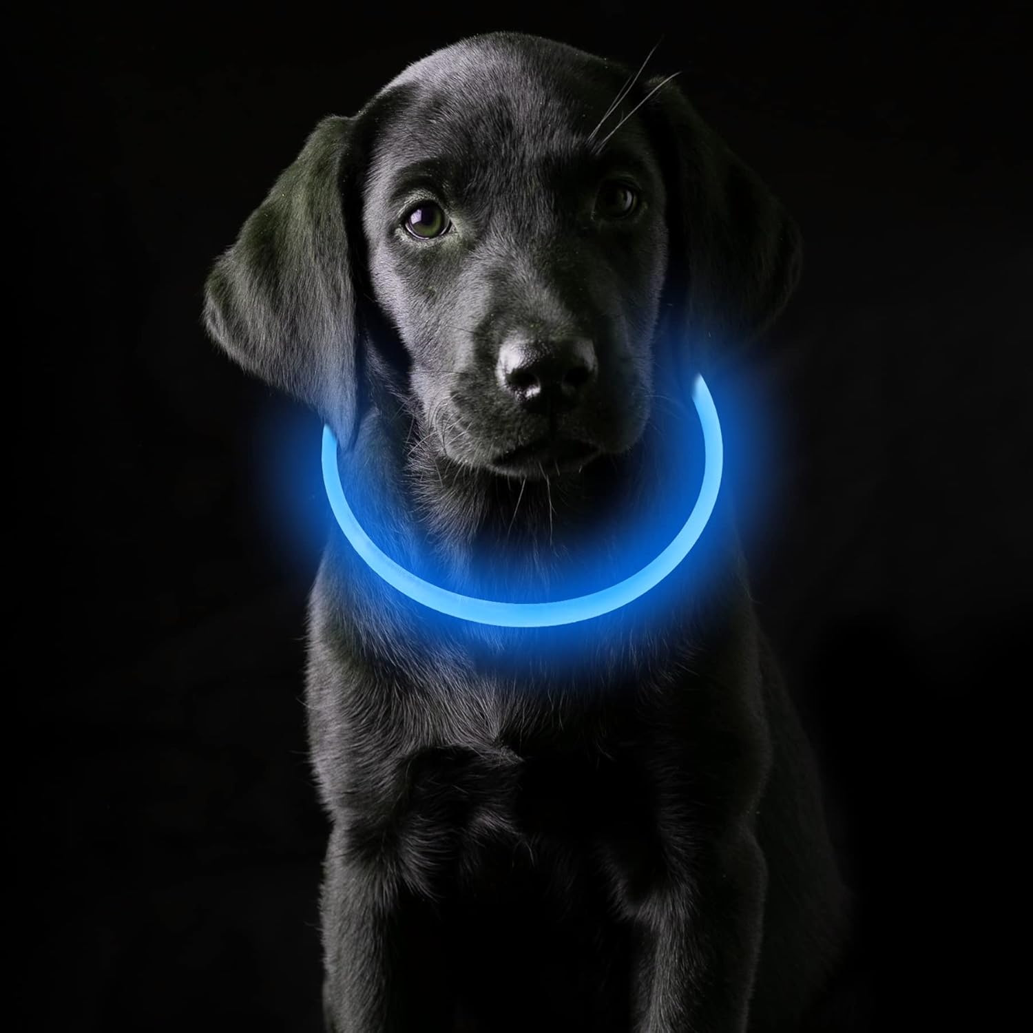 Coolzon LED Leuchthalsband Hundehalsband aufladbar wasserdicht 3 Modi Gruen