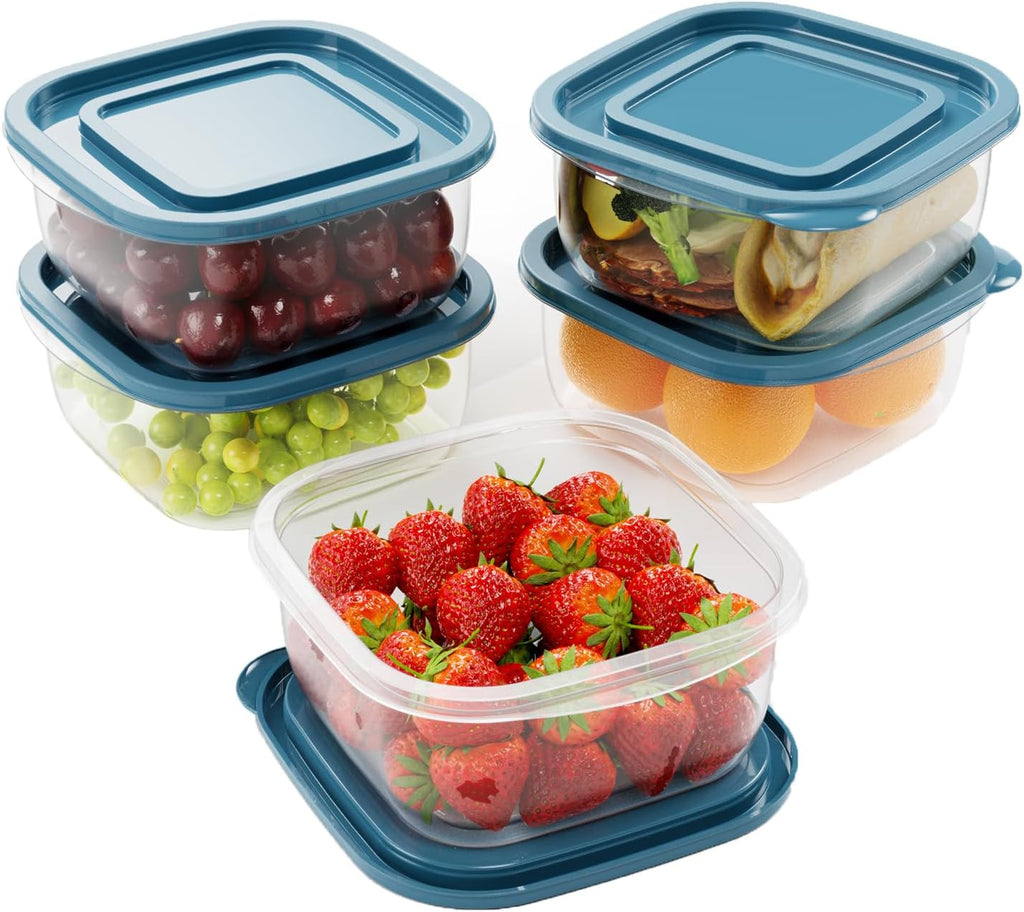 EFISH Portionsboxen 10er Set Kunststoff Lebensmittelbehaelter mit Deckel