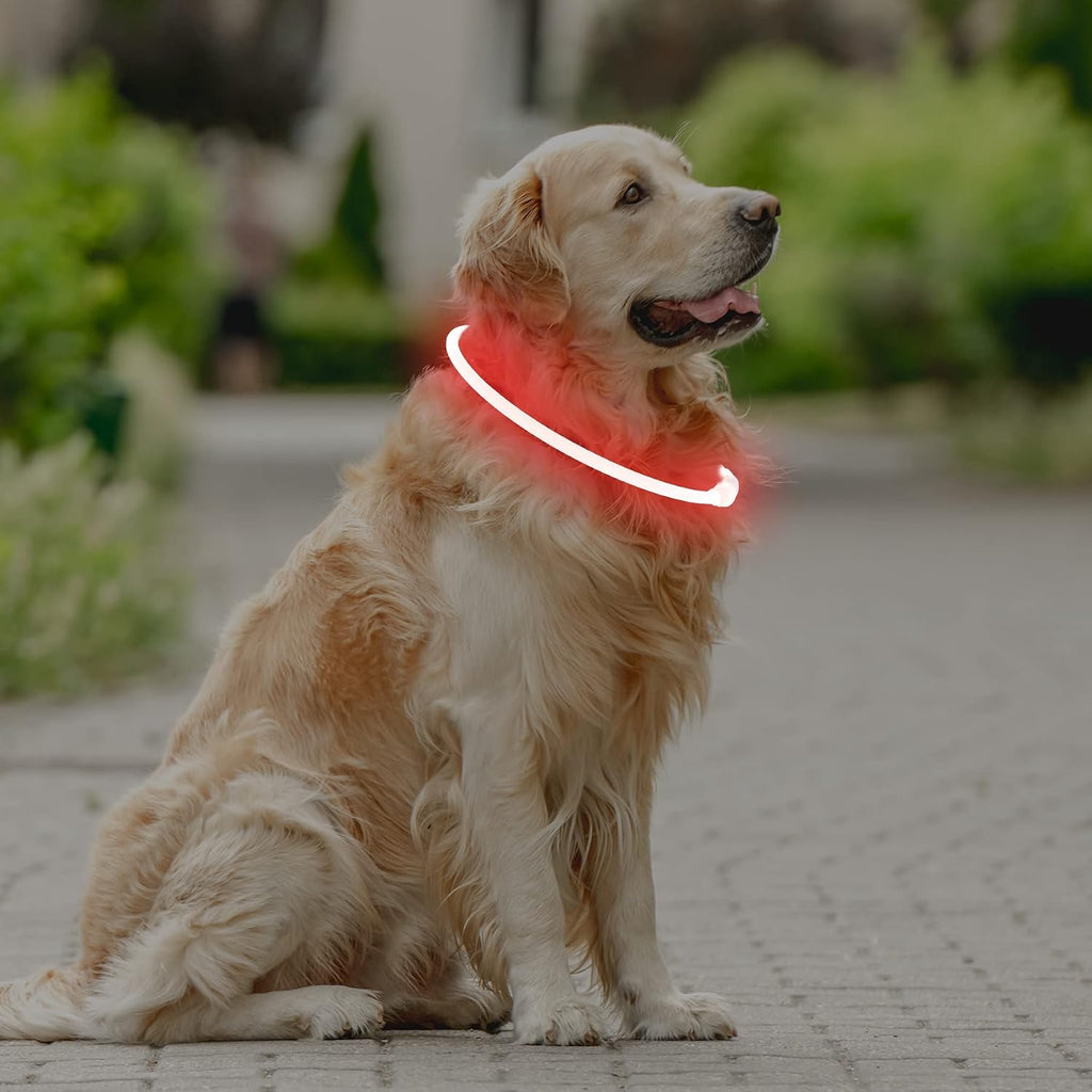 Coolzon LED Leuchthalsband Hundehalsband aufladbar wasserdicht 3 Modi Gruen