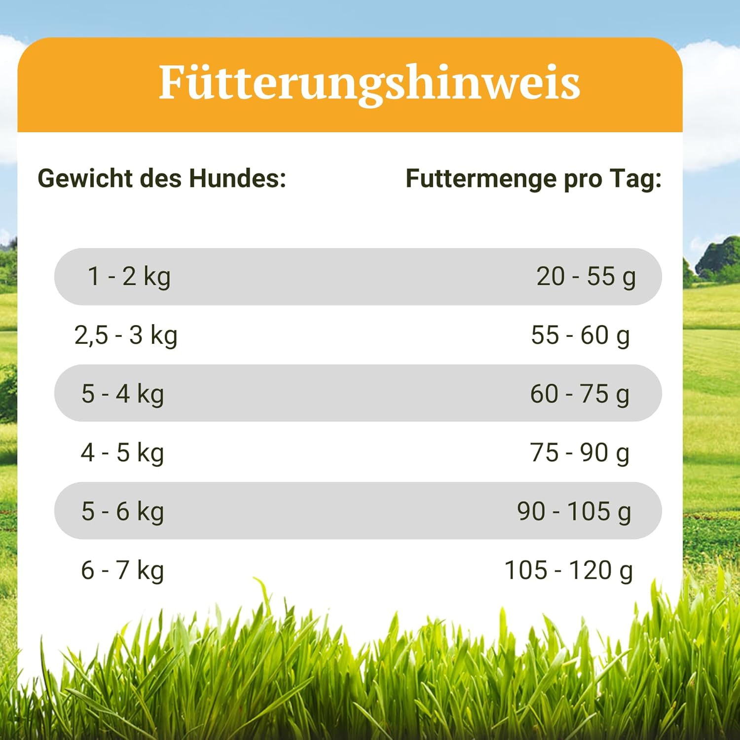 Bellfor Landgut-Schmaus Mini getreidefreies Trockenfutter Insekten