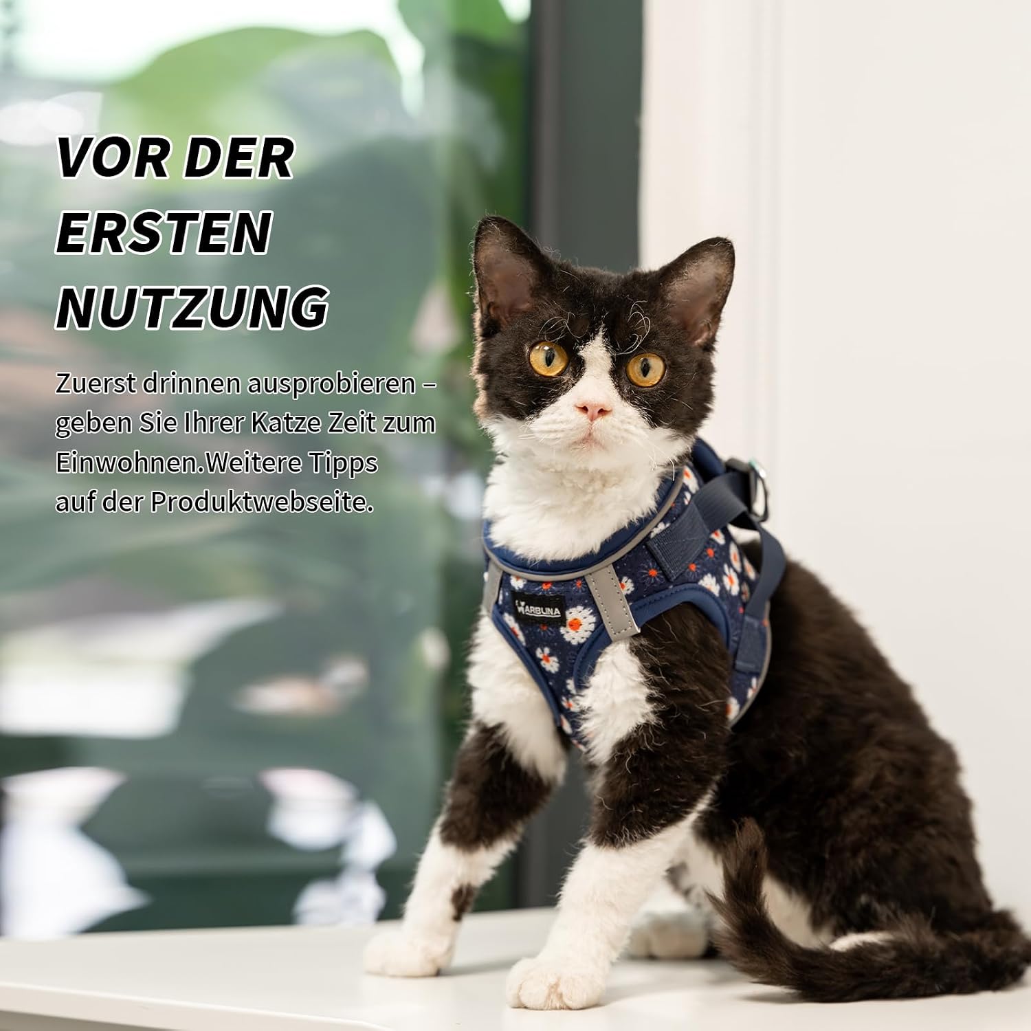 Arblina Katzengeschirr weich atmungsaktiv mit Reflektor und Leine in mehreren Farben