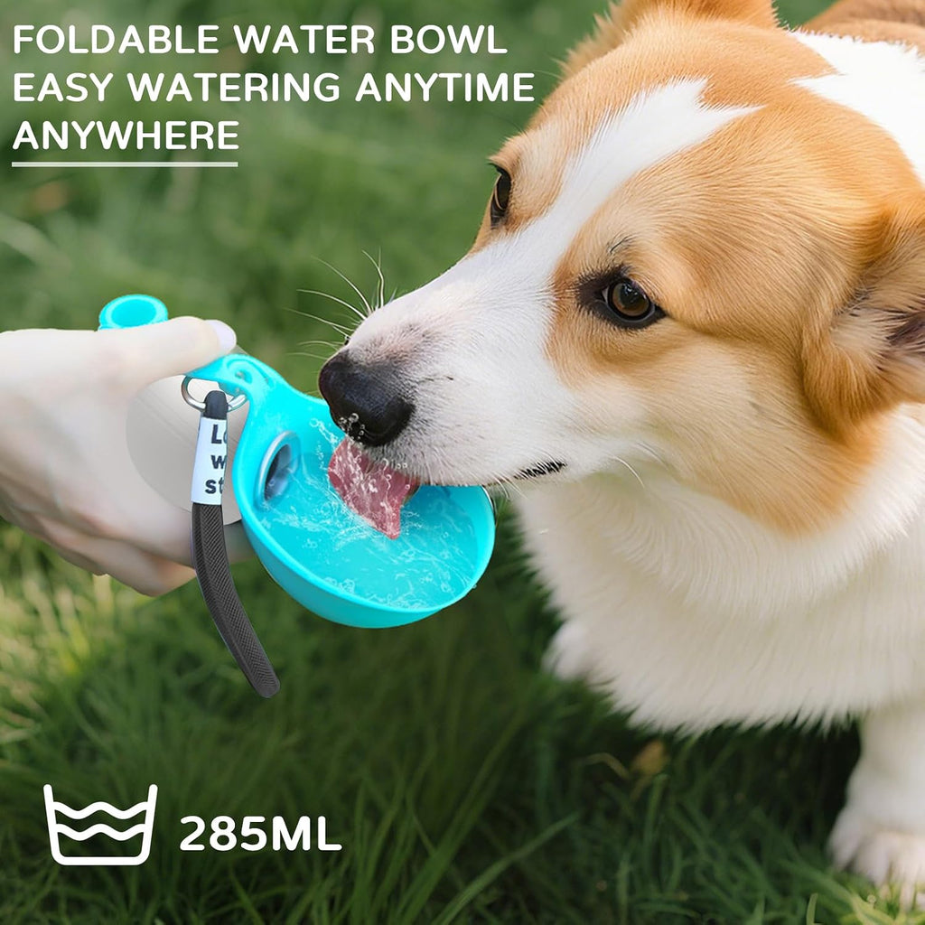 Tragbare Hundetrinkflasche Edelstahl mit faltbarem Silikonnapf Blau