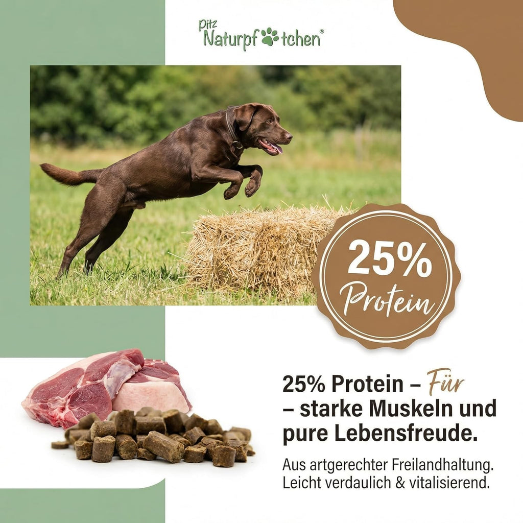 Markus-Muehle NaturNah Hundefutter kaltgepresst mit Huhn und Wild