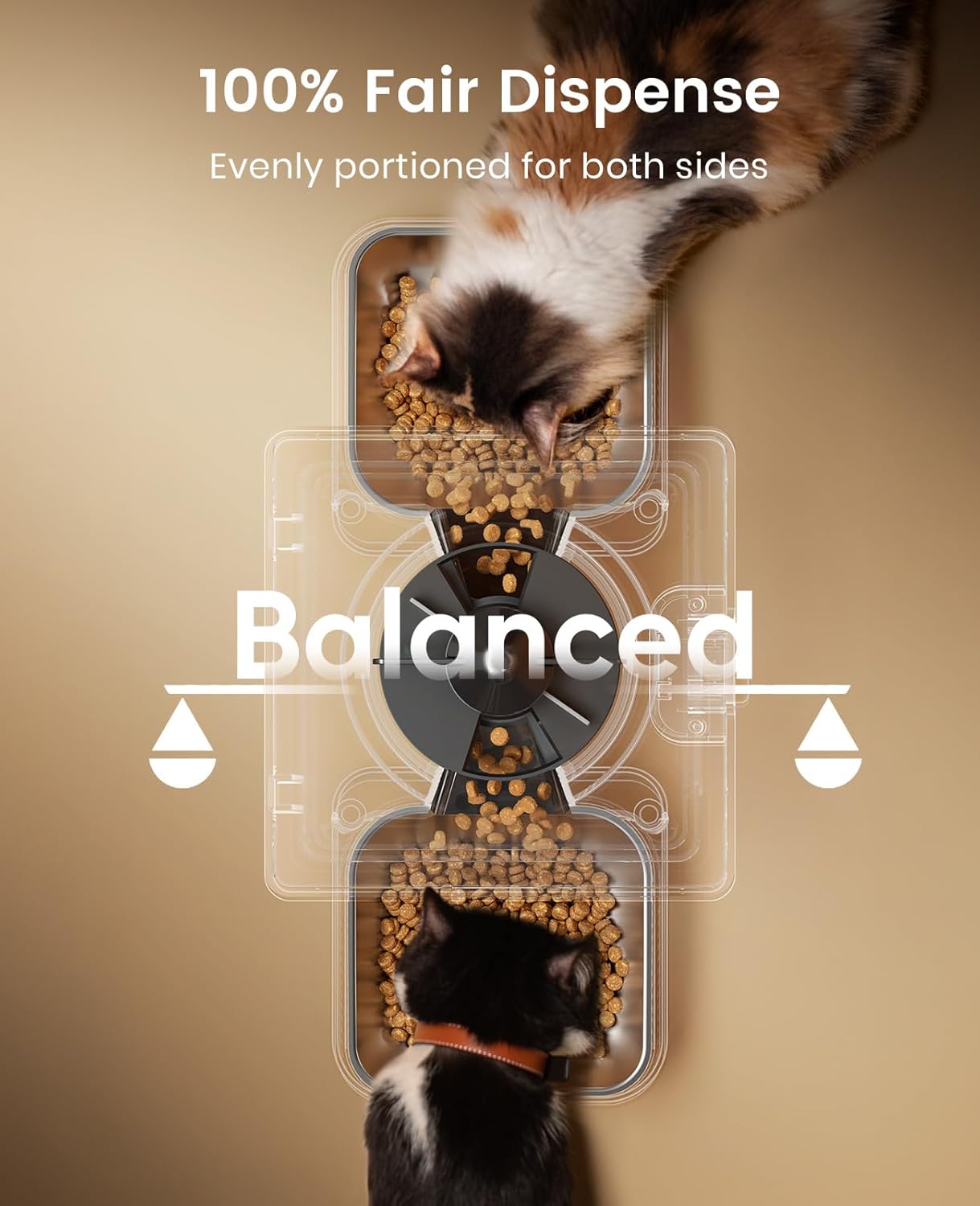 oneisall Katzenfutterautomat mit 2 Edelstahlnaepfen, App & Sprachaufnahme