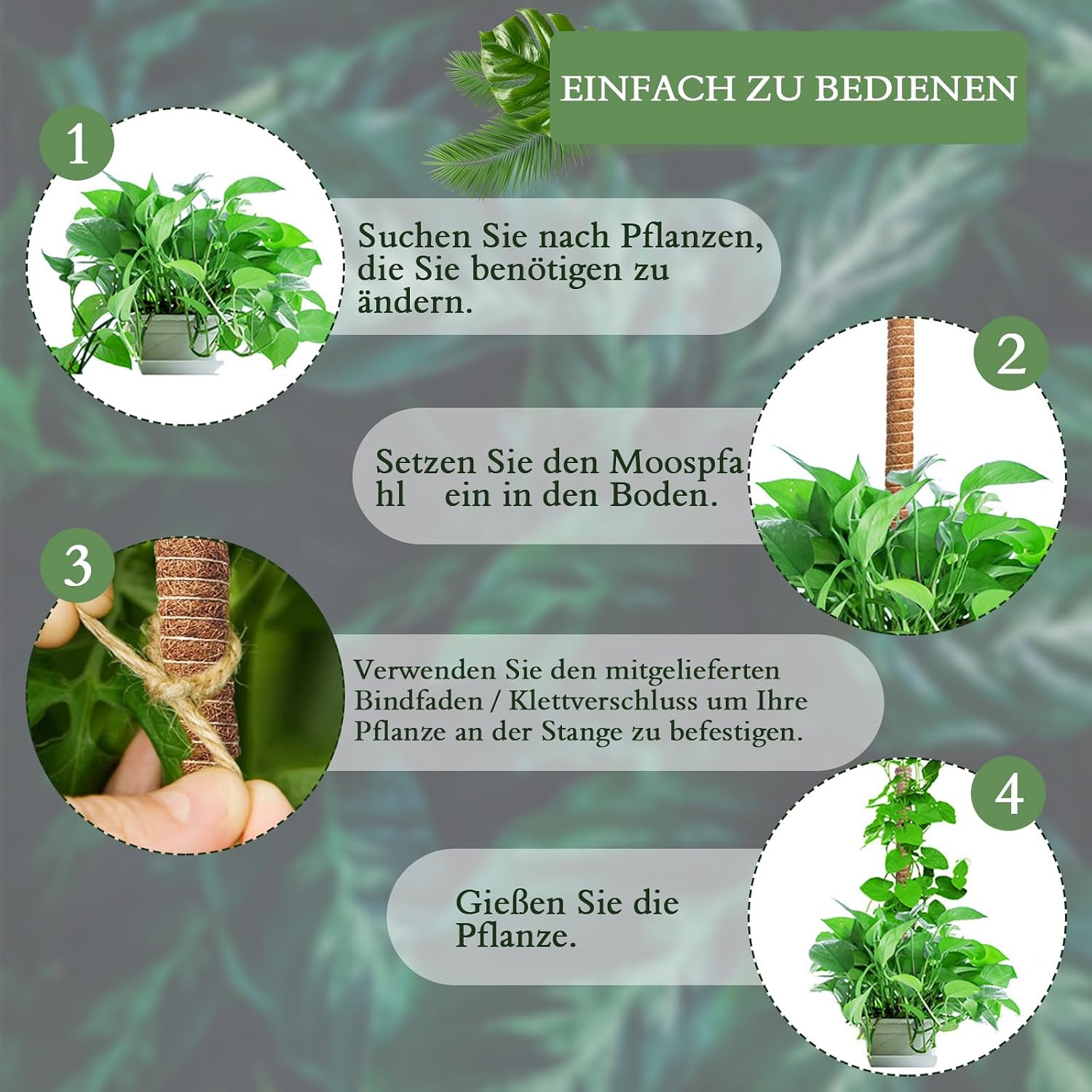 Monstera Moosstab 120 cm Kokosfaser biegsame Rankhilfe Pflanzenstuetze