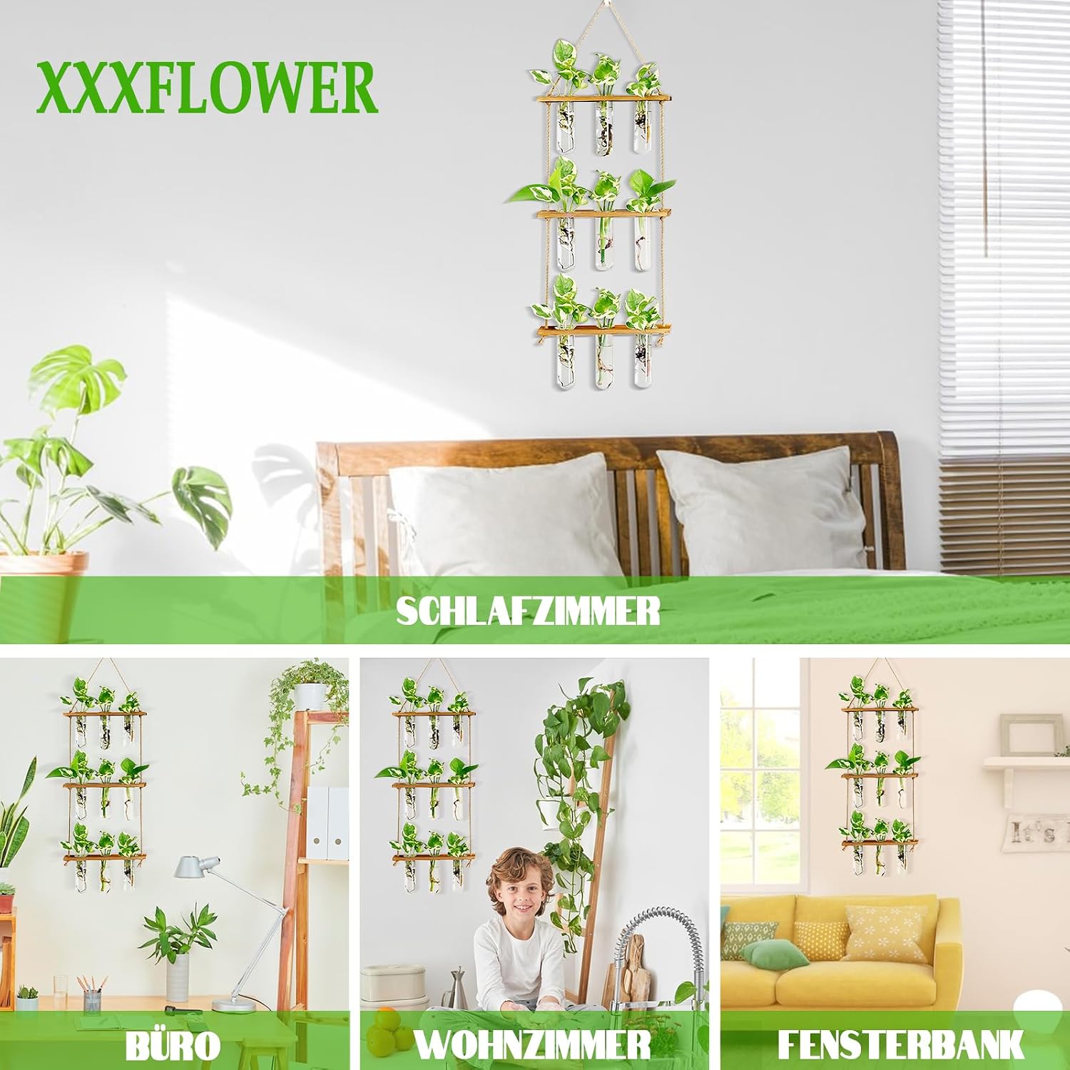 XXXFLOWER Reagenzglaeser 3x5 mit Staender Glas Vase Hydrokultur Stecklinge