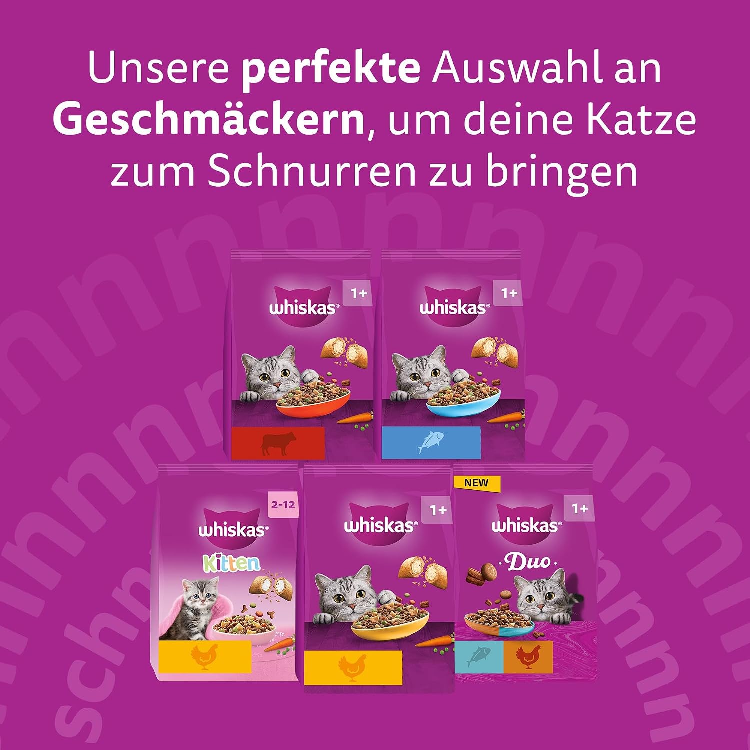 Katzenfutter Trockenfutter verschiedene Sorten Huhn