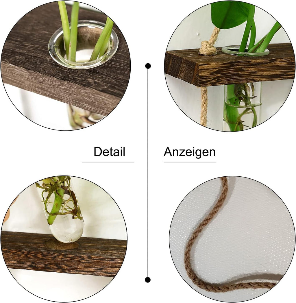 XXXFLOWER Reagenzglaeser 3x5 mit Staender Glas Vase Hydrokultur Stecklinge