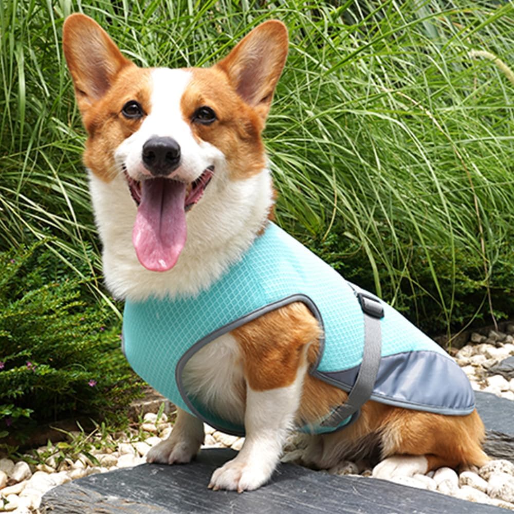 Hunde Kuehlweste S-XL mit verstellbarer Schnalle fuer Jagd Training Camping