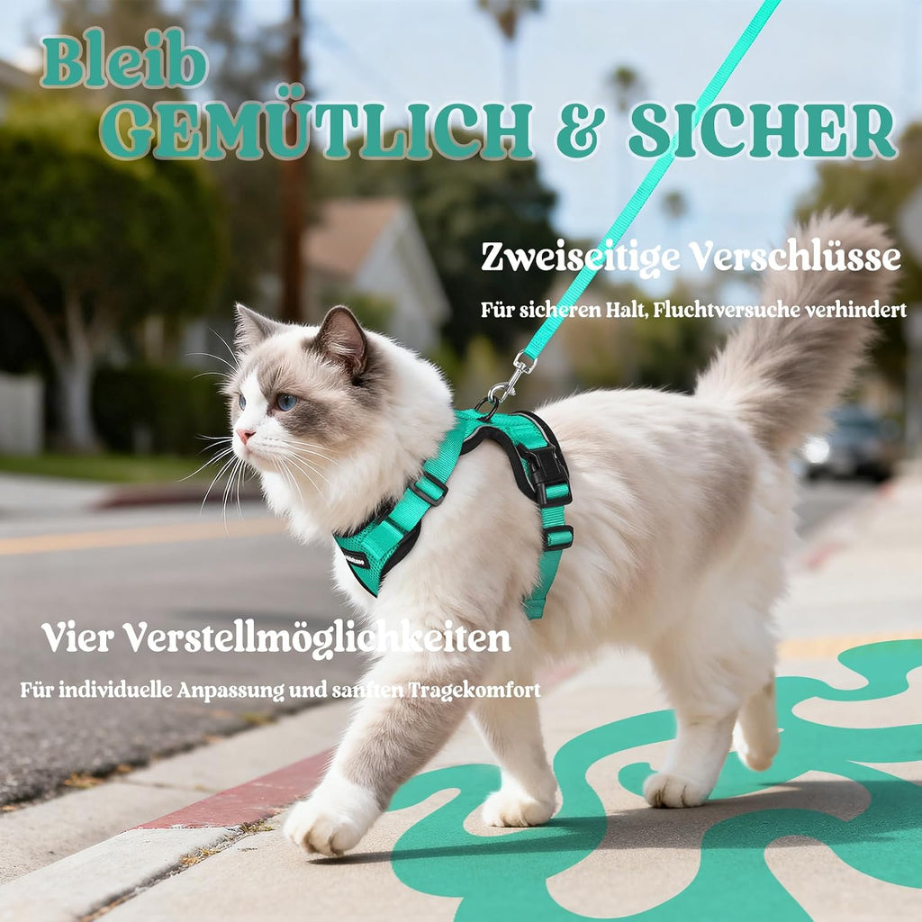 rabbitgoo Katzen Geschirr mit Leine verstellbar reflektierend weich XS Schwarz