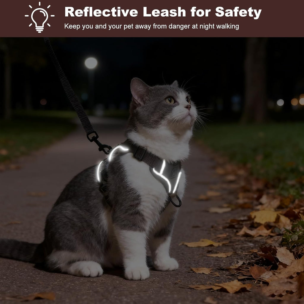 Katzengeschirr ausbruchsicher reflektierend mit Leine und Spielzeug