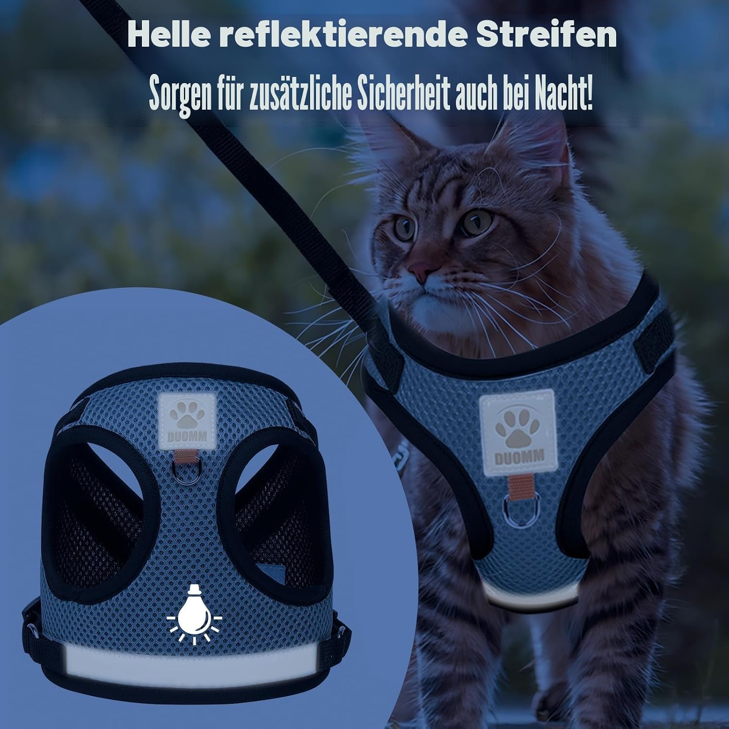 Katzengeschirr mit Leine verstellbar Grau S-M Katzenweste 5 m Leine