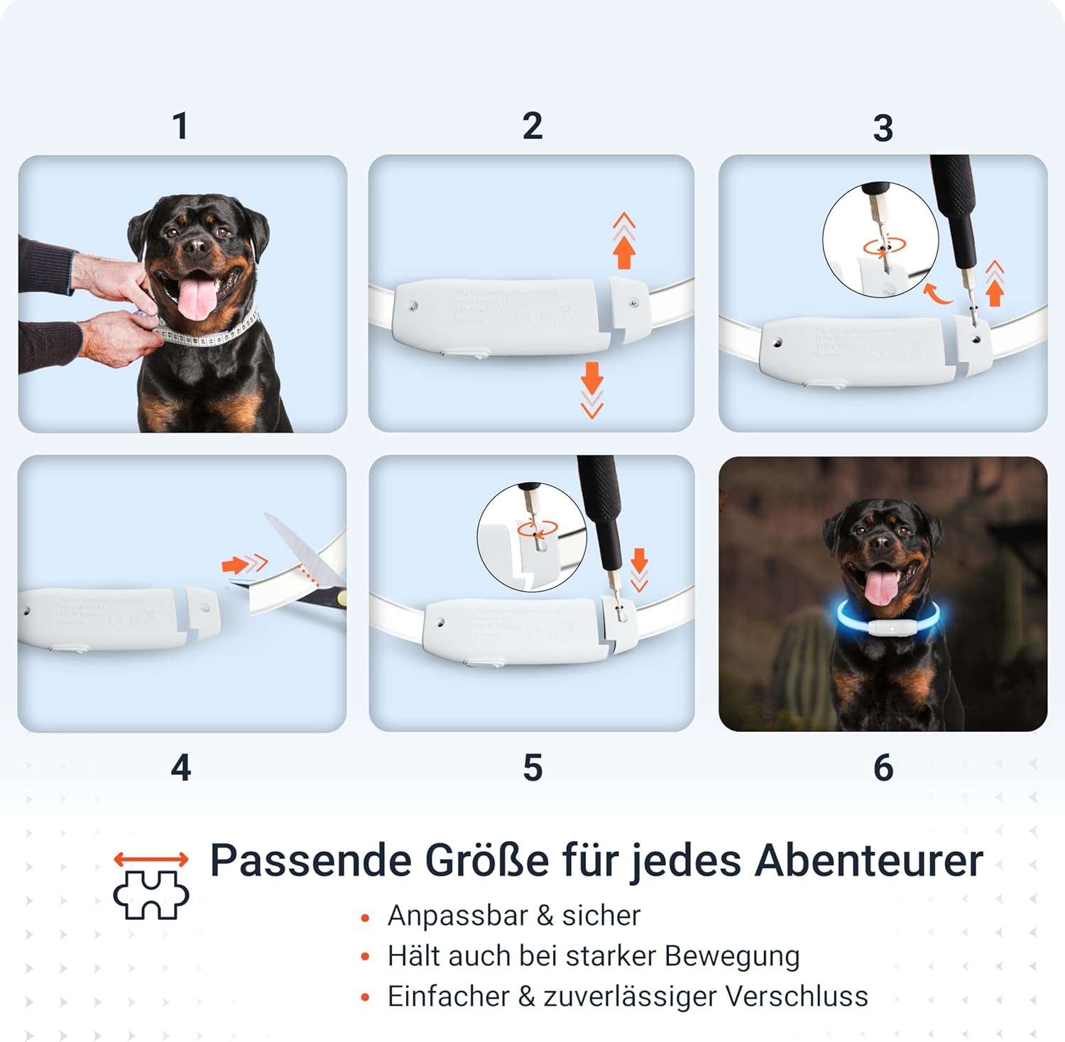 PAJ Light LED Hundehalsband cm verstellbar wasserfest schwarz, 7 Farben