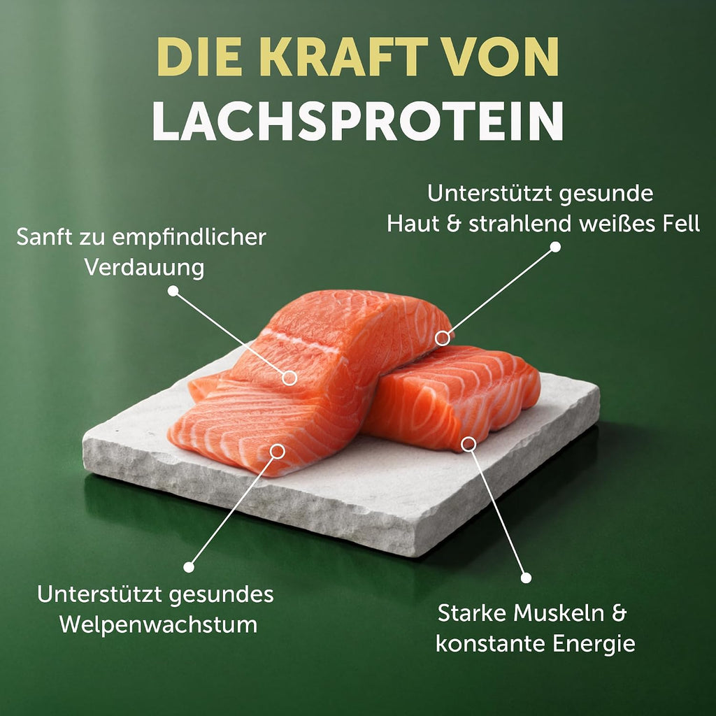 Nature's Protection Superior Care Trockenfutter Welpe 1,5 kg Lachs