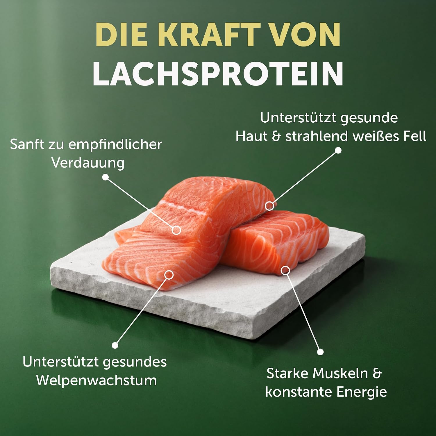 Nature's Protection Superior Care Trockenfutter Welpe 1,5 kg Lachs