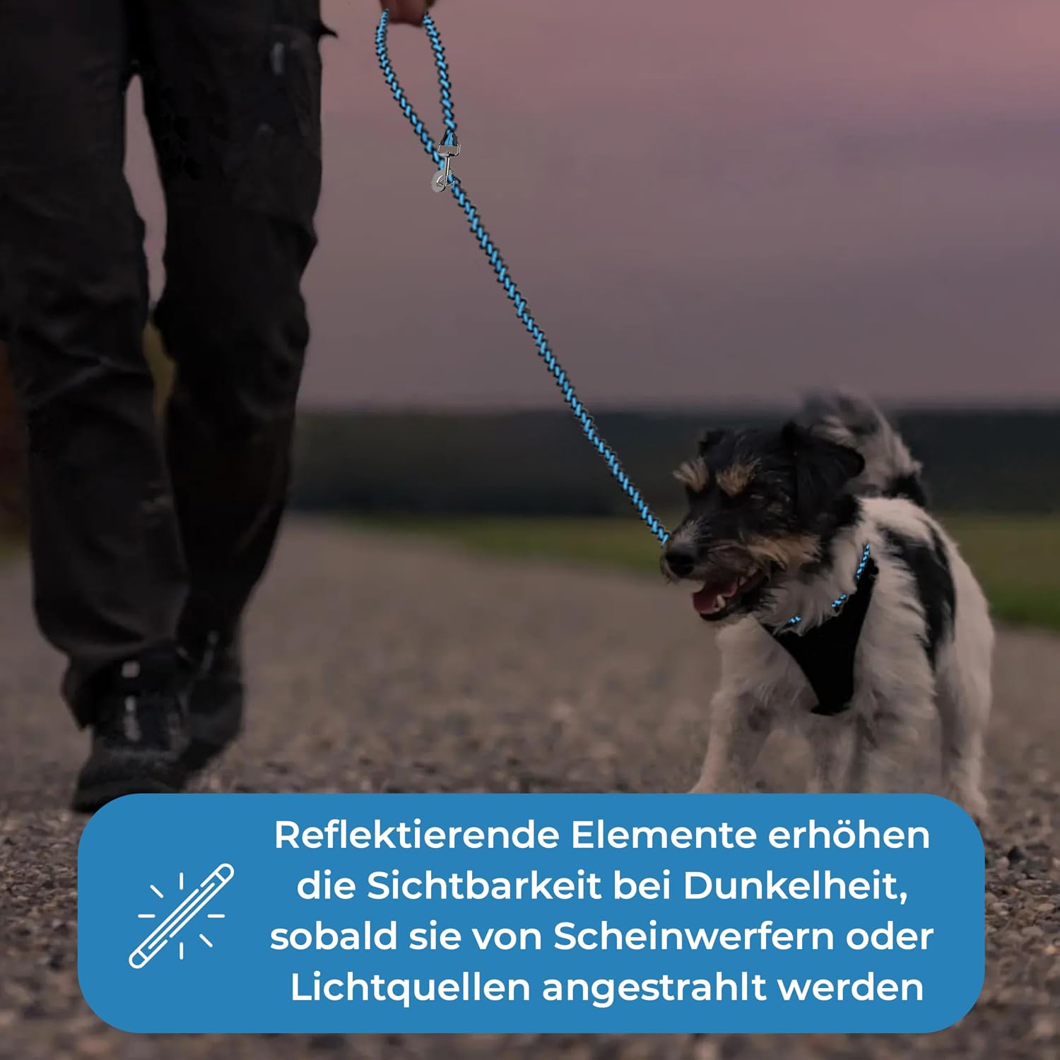 Paracord Hundeleine verstellbar 2m-3m reflektierend wetterfest