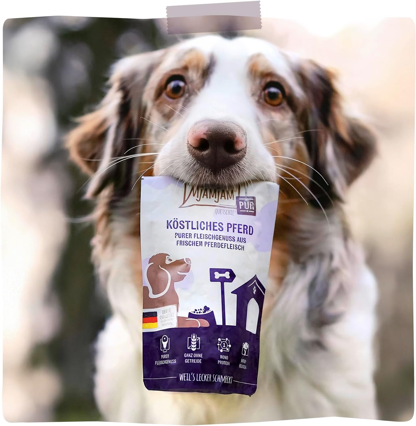MjAMjAM Hundefutter Nassfutter Pferd 6 x 800 g getreidefrei viel Fleisch