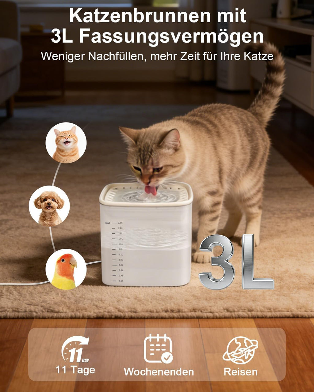 Katzen Trinkbrunnen 3L mit leisem Pumpenmotor transparentem Tank und 2 Filtern