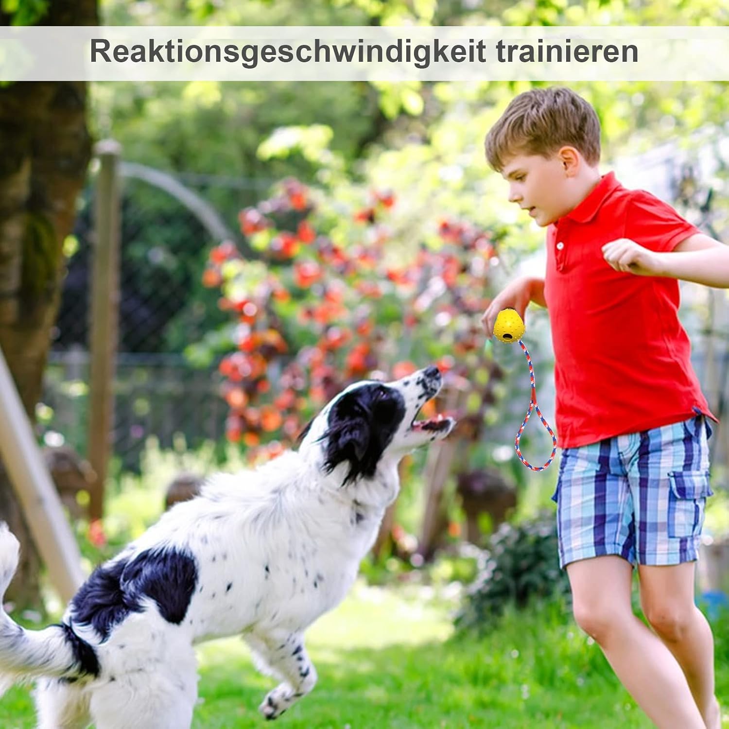 4x Hundeball mit Seil aus Naturkautschuk – robustes Hundespielzeug