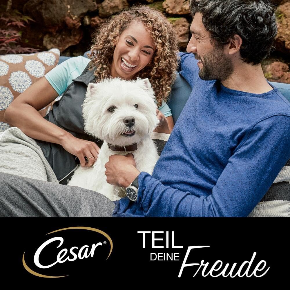 Cesar Hundenassfutter Selektion in Sauce 48x100g (4x12)