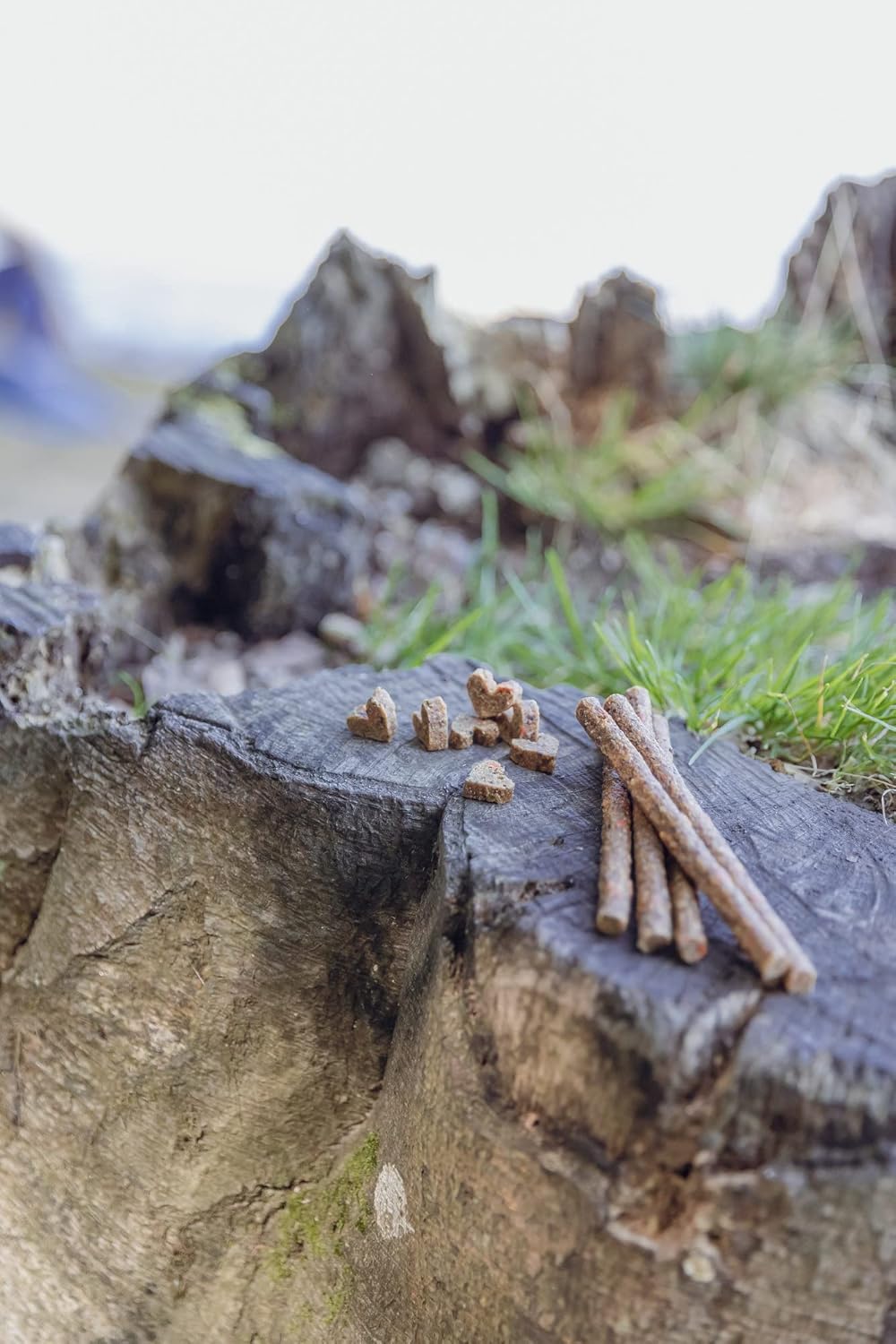Trixie Hundeleckerli Insekten Snack Sticks mit Mehlwuermern