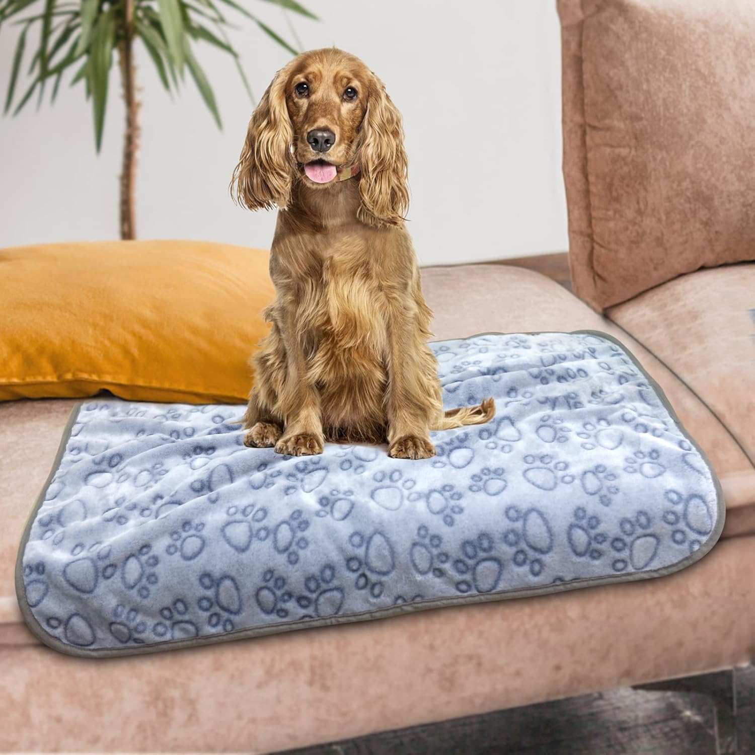Hundedecke 110x80 cm 3er Set weich waschbar fuer Hunde und Katzen