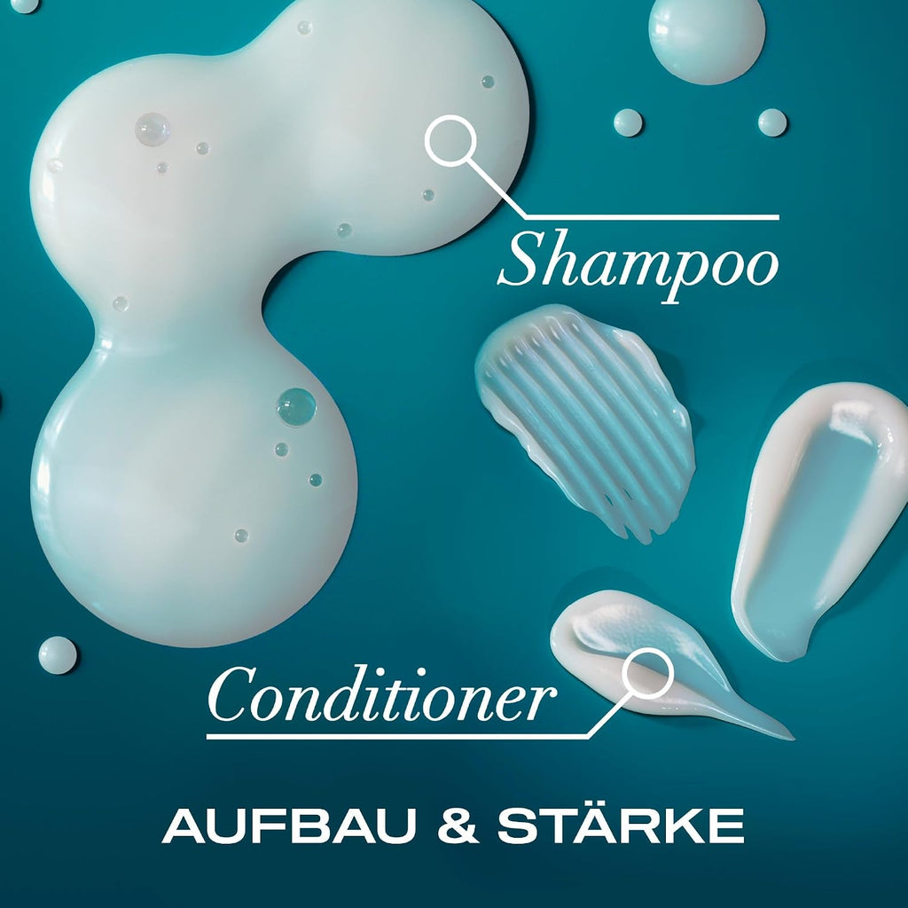 OGX Renewing Argan Oil of Morocco Shampoo 385 ml fuer trockenes Haar ohne Sulfate